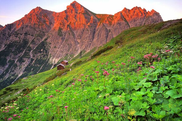 Sunset landscape in the mountains