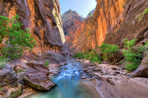 Canyon dans le parc National de Zion avec la rivière