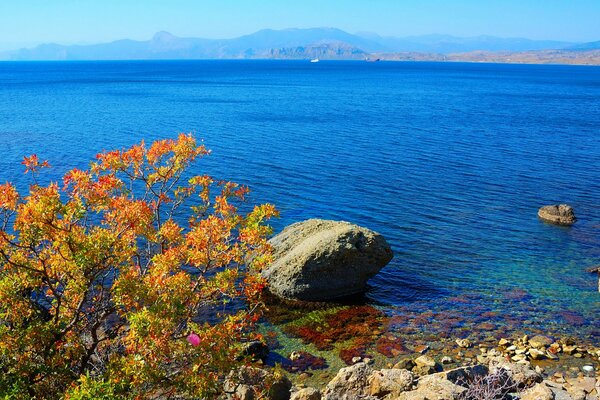 Autumn horizon from the shores of the Black Sea