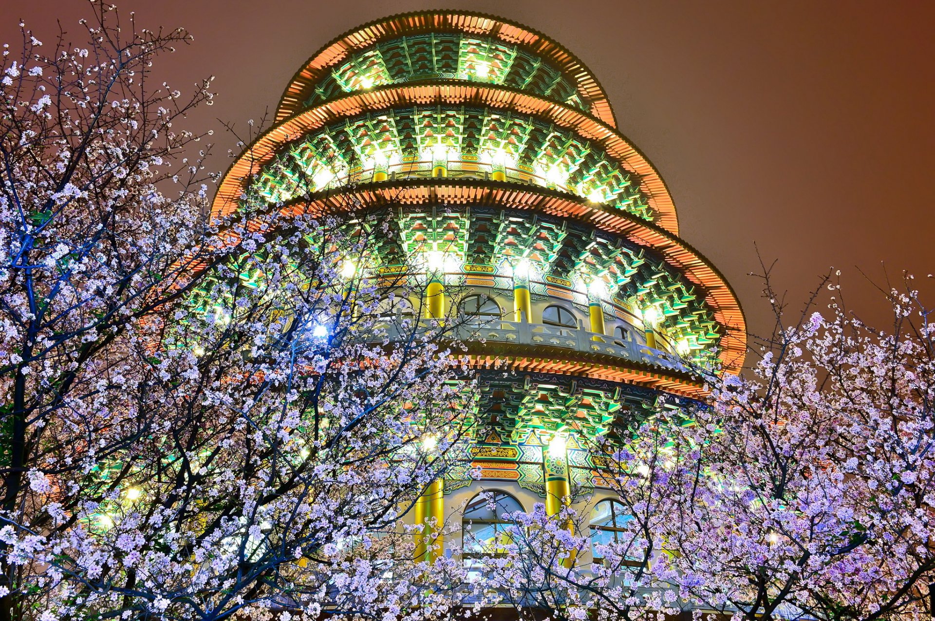 nacht gebäude lichter hintergrundbeleuchtung bäume blühen frühling