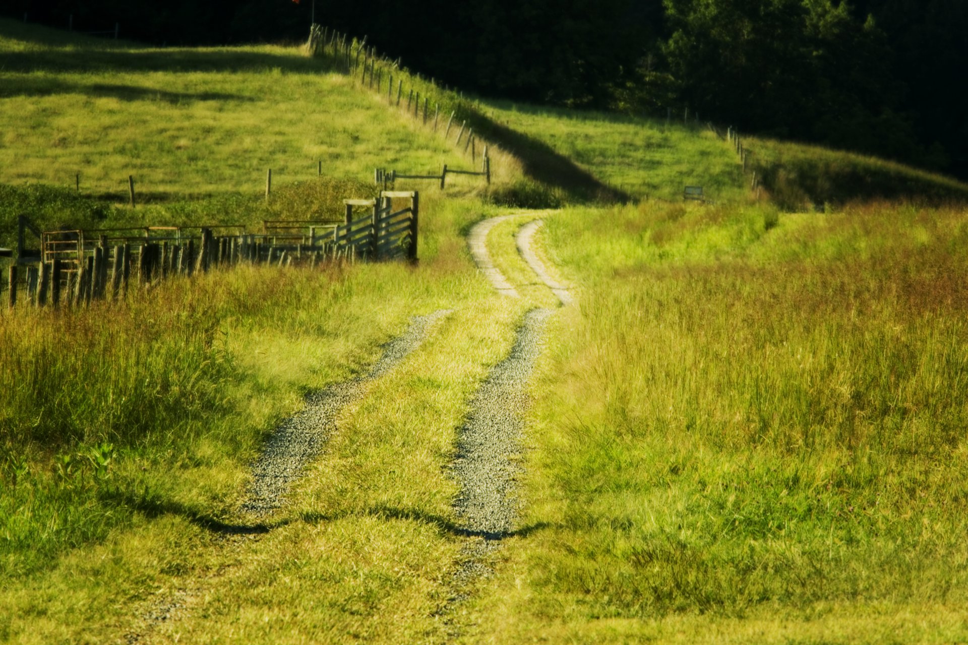 ummer the field road fence landscape