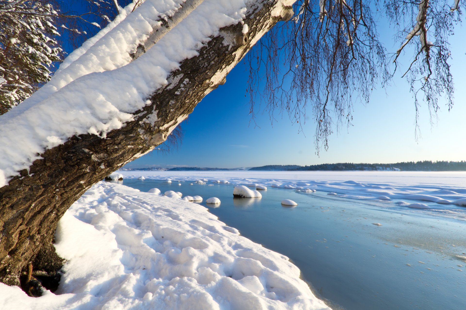 winter snow water tree sky river next horizon