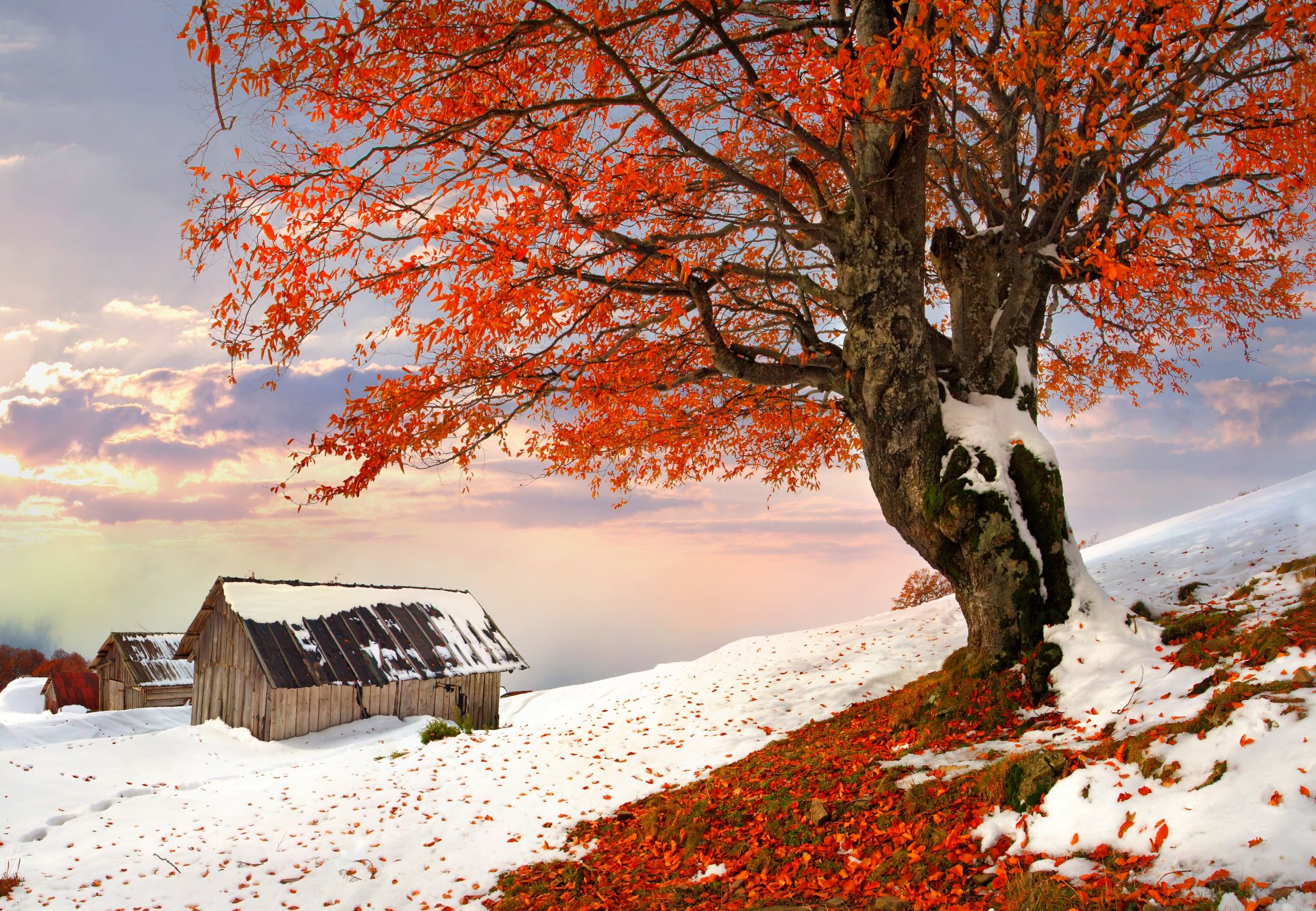 nature house winter snow sky landscape winter white cool nice sunset