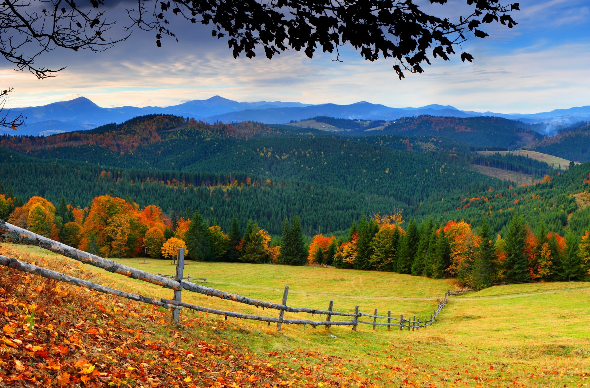 nature forêt arbres montagnes herbe feuilles coloré route automne automne couleurs marche ciel