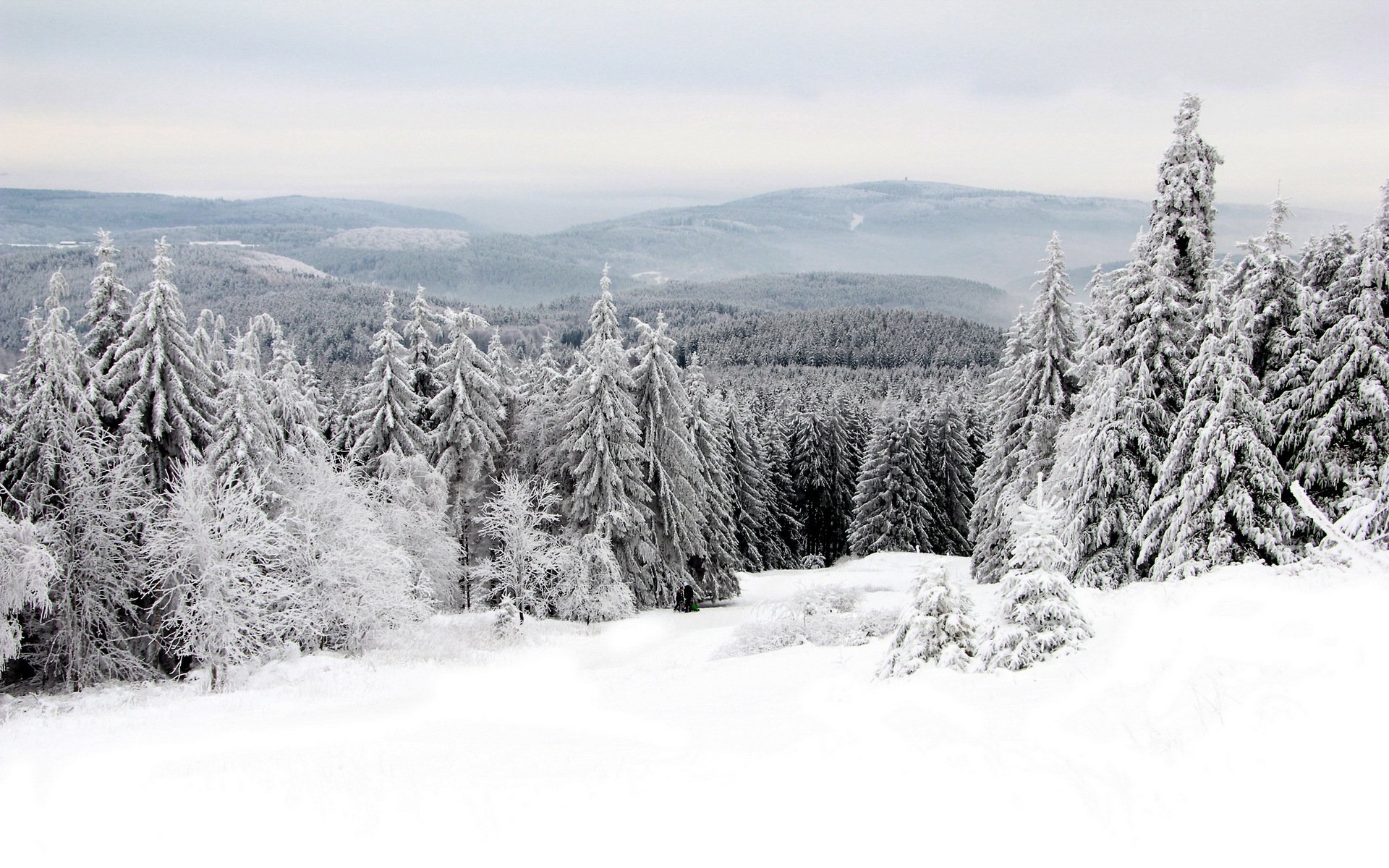 hiver neige paysage