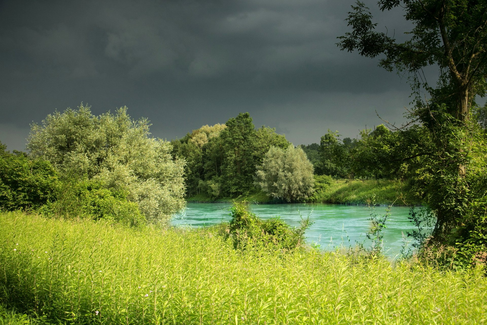 rivière allemagne bavière herbe arbres nature