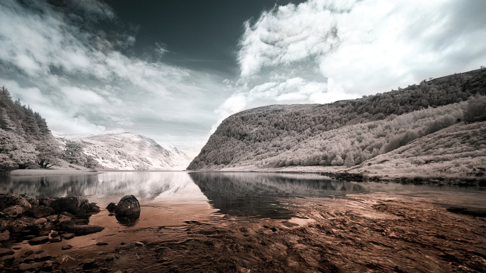 lake mountain landscape flowers style