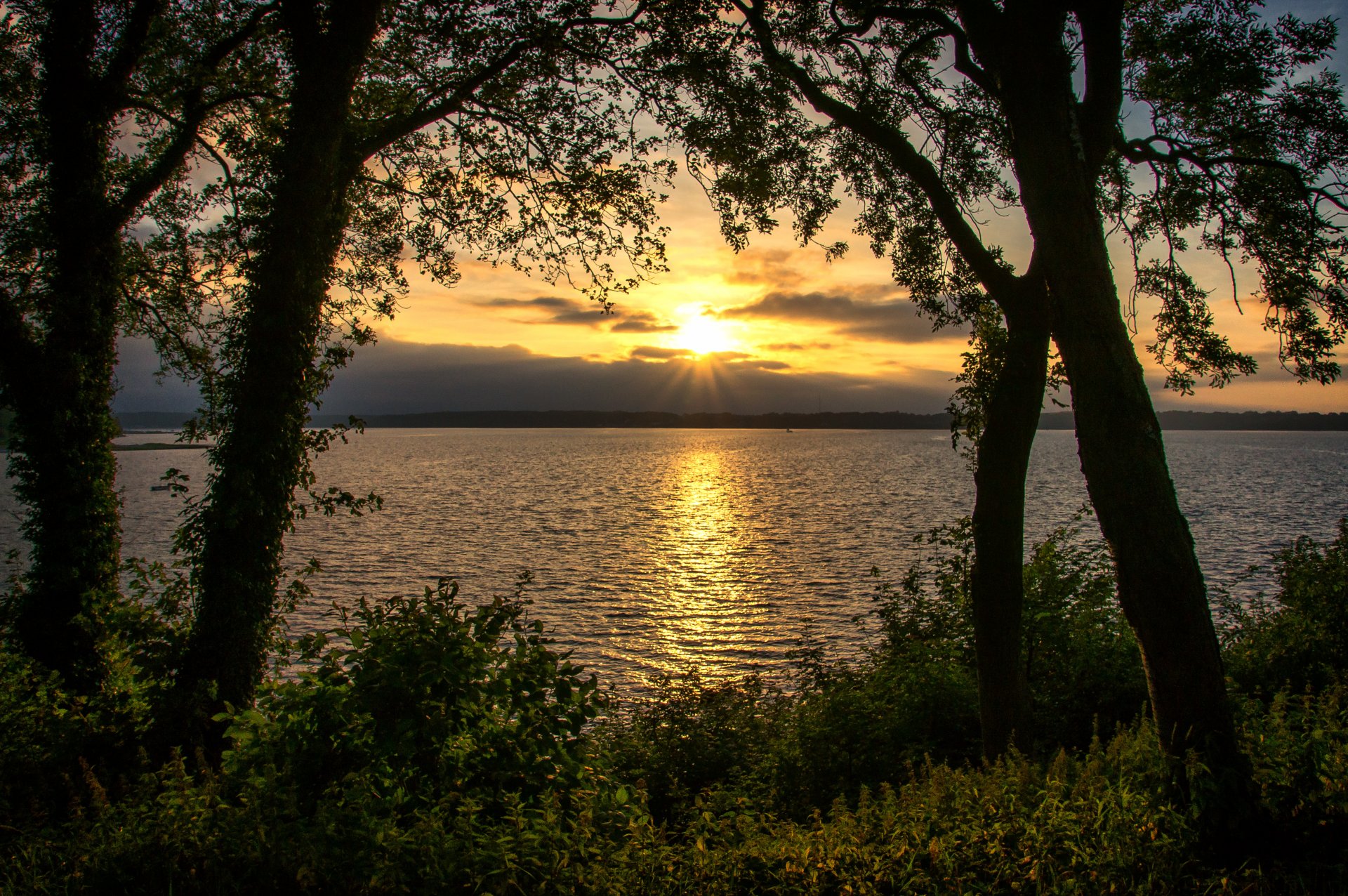 fluss ufer bäume strauch laub horizont sonne sonnenuntergang