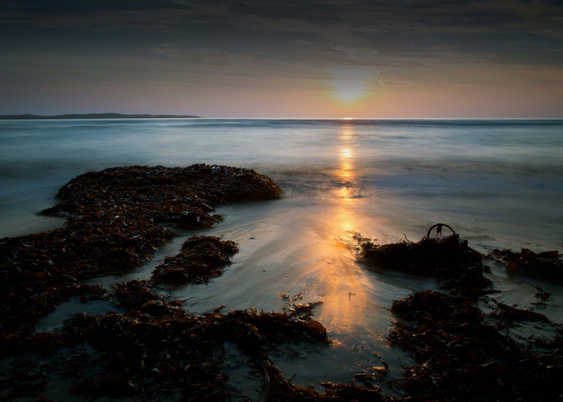 ea beach algae sunset