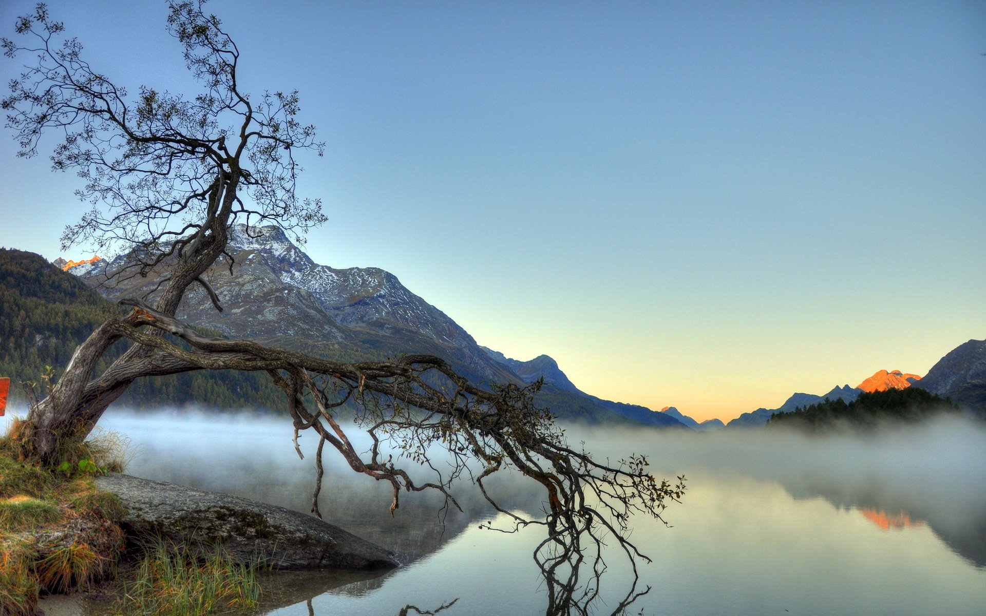 lago niebla paisaje