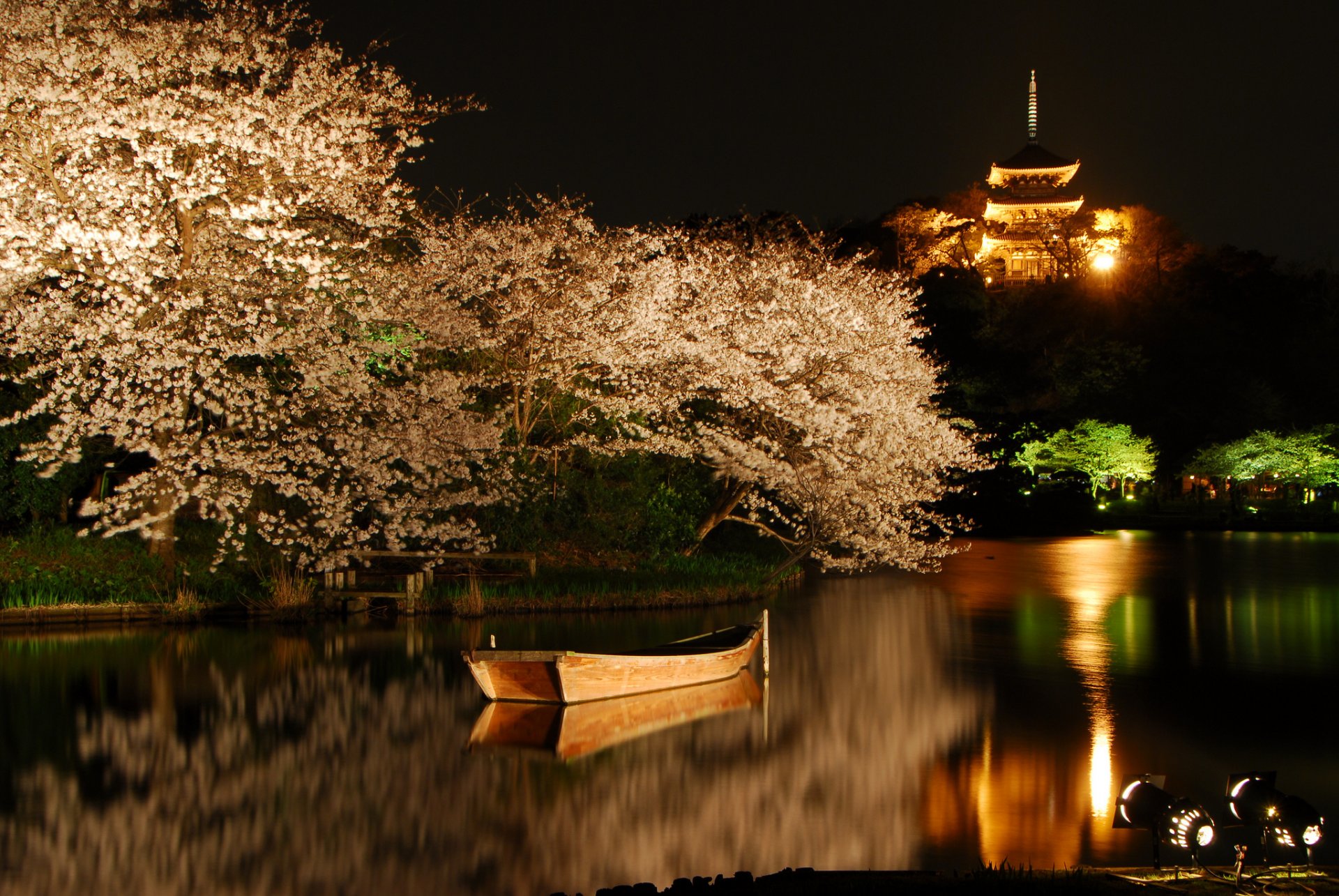 lac bateau arbres floraison sakura rétro-éclairage nuit printemps