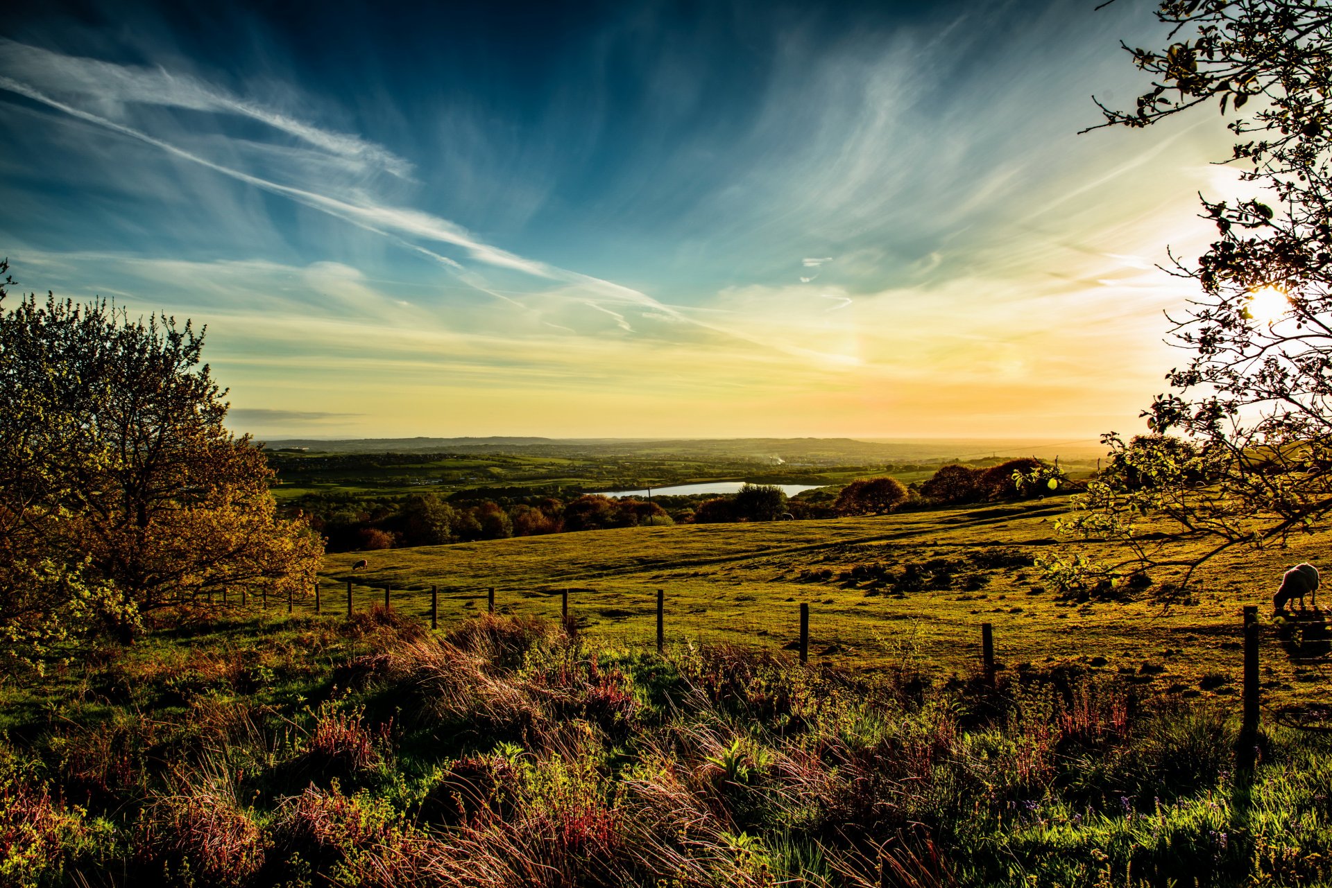 wiesen england himmel horwich wolken gras horizont natur