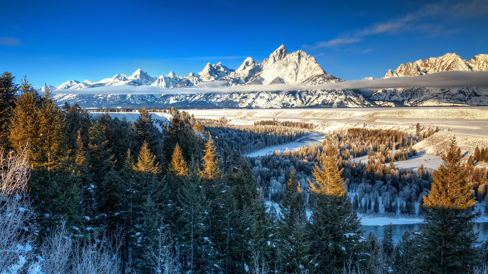 montagne alberi natura paesaggio