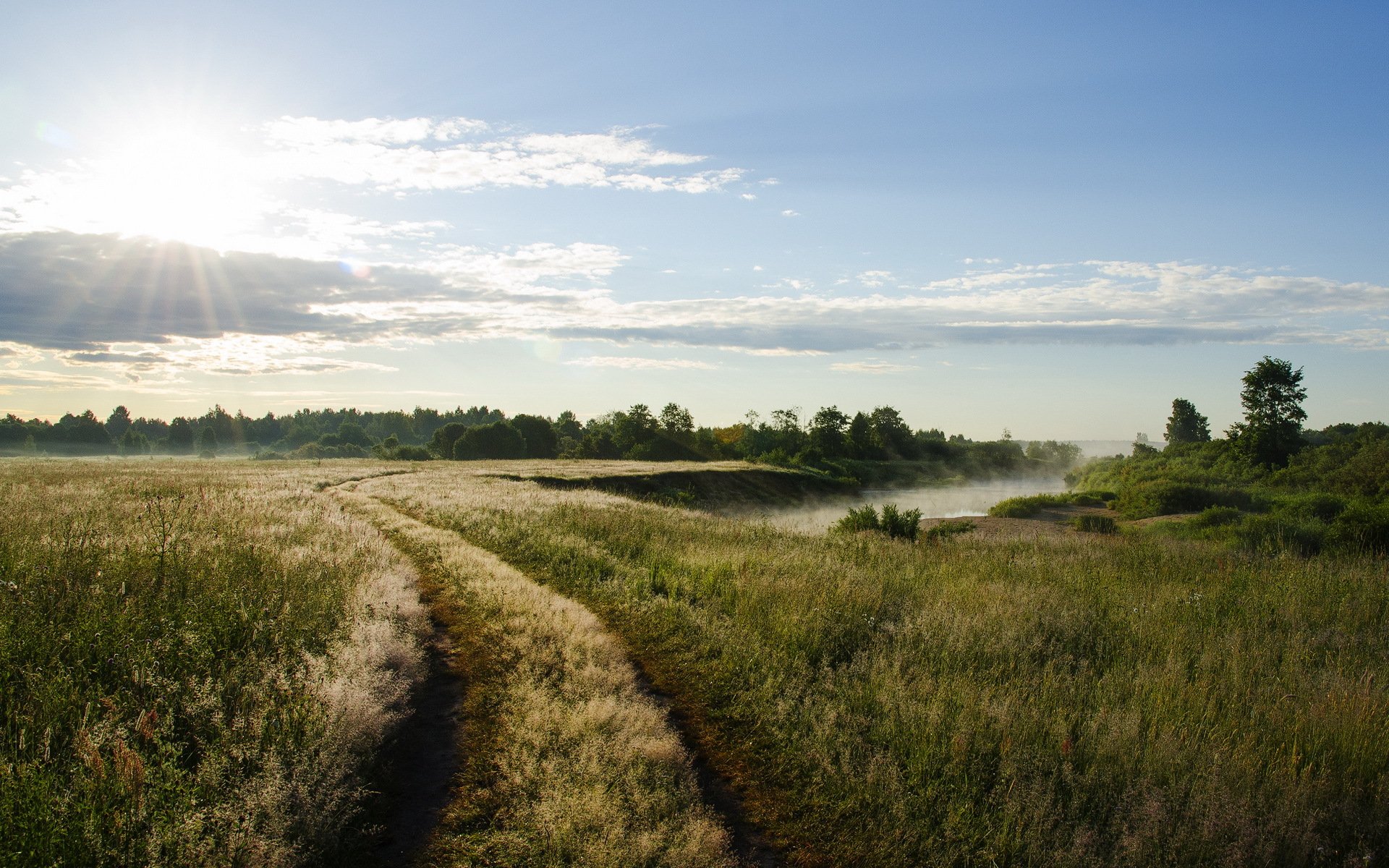 the field river landscape