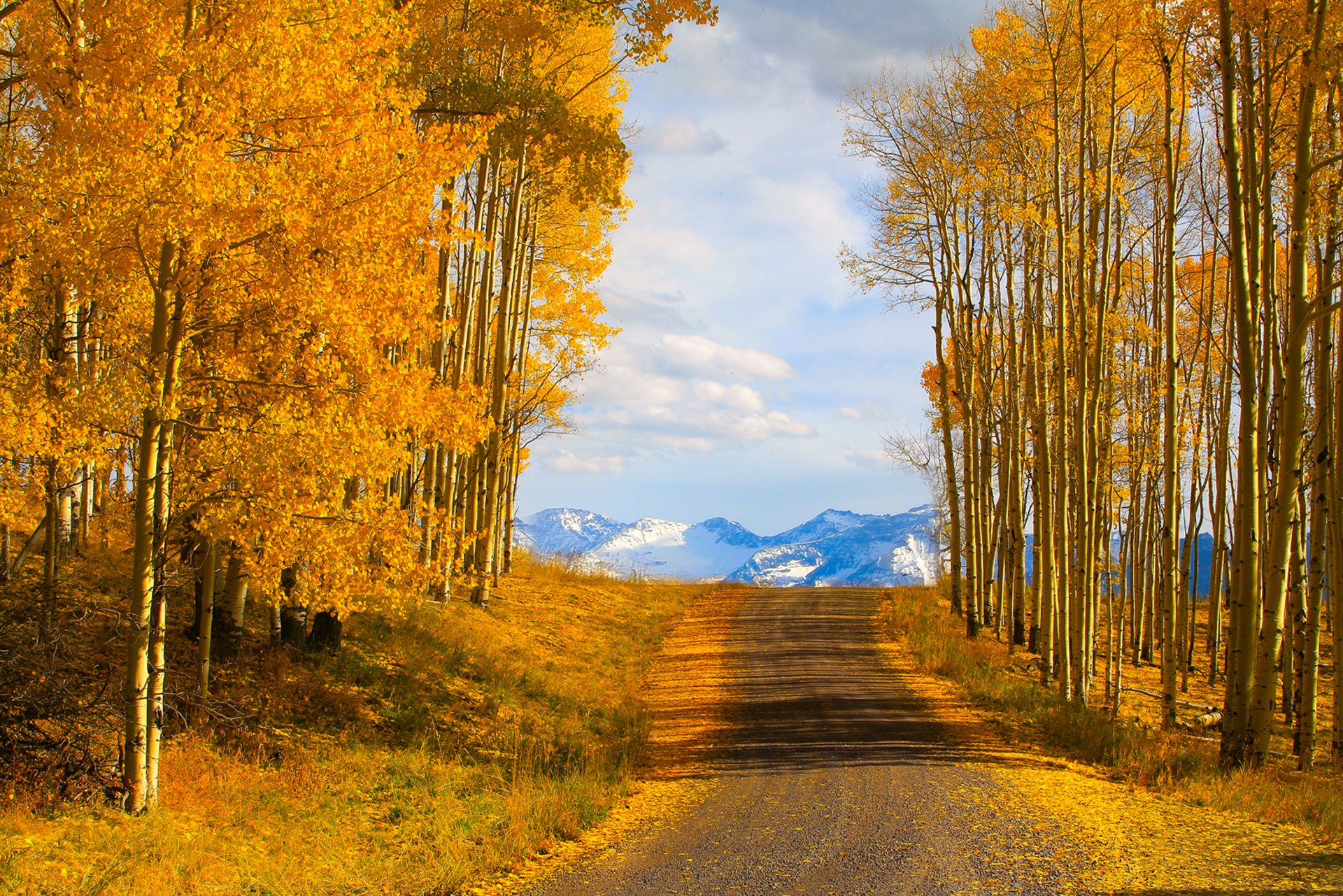 telluride colorado usa autumn road sky tree mountain nature