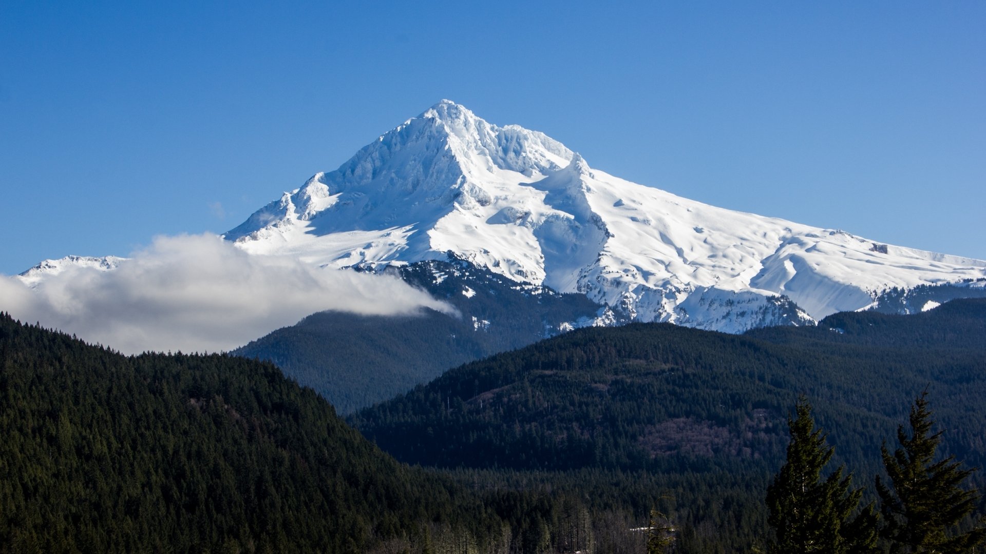 paesaggio cielo blu neve montagna vetta vulcano monte hood nord america foresta nebbia foschia