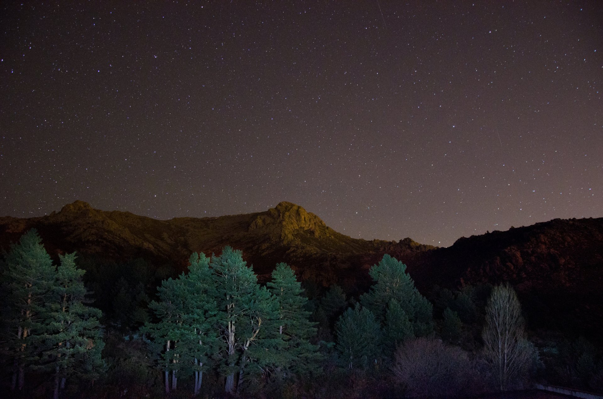 mountain tree night star