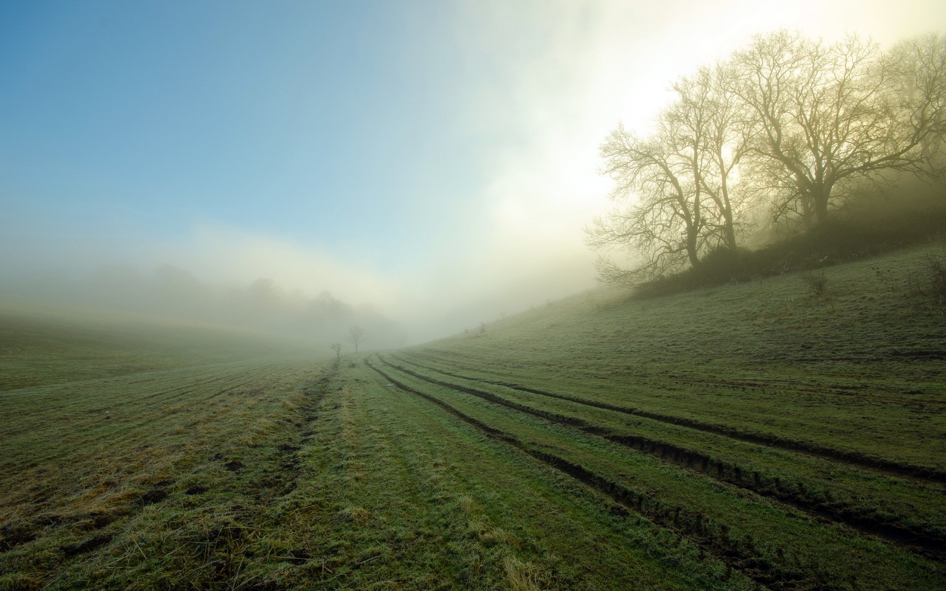 matin champ brouillard paysage