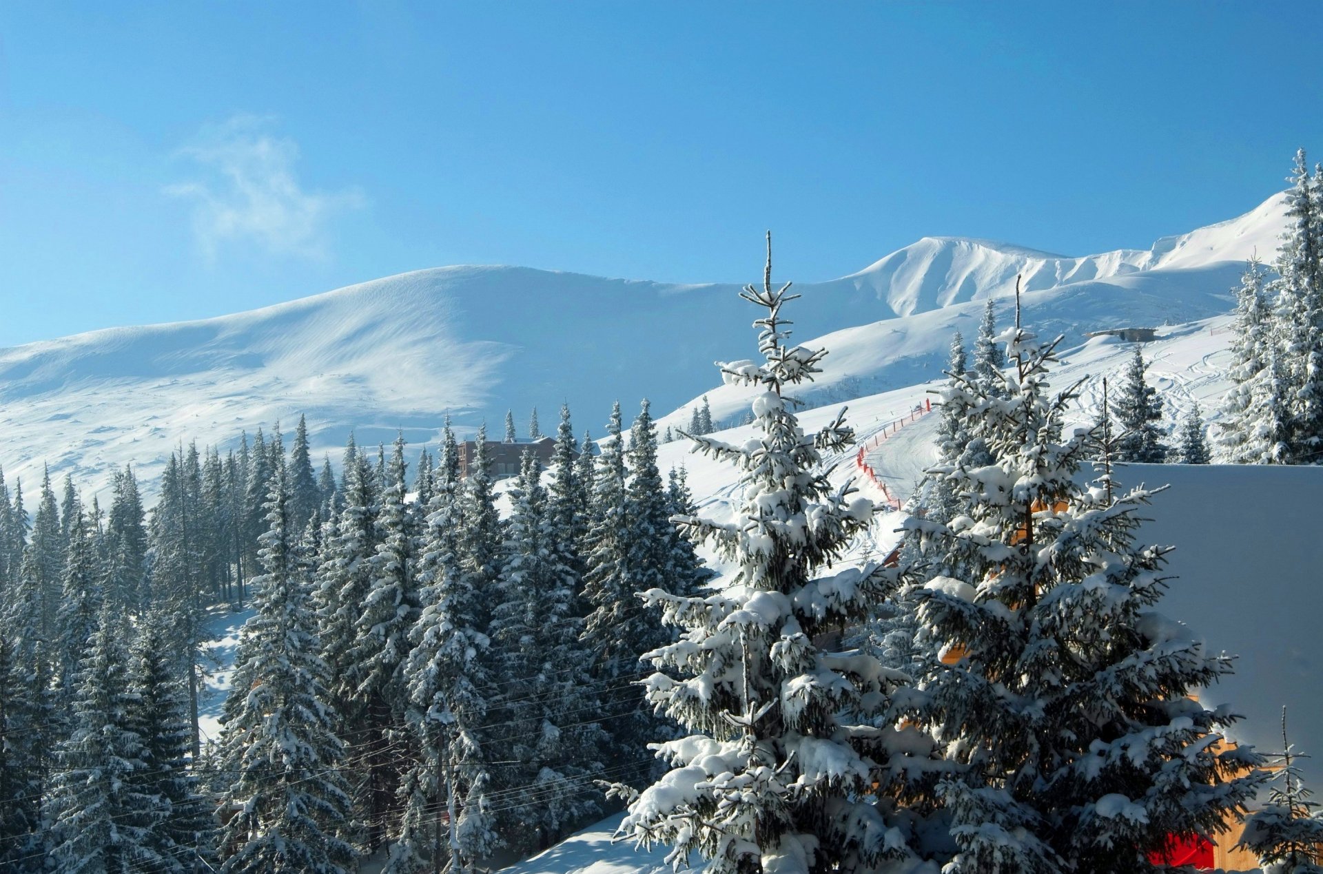 ucrania bukovel estación de esquí cárpatos montañas abetos nieve invierno