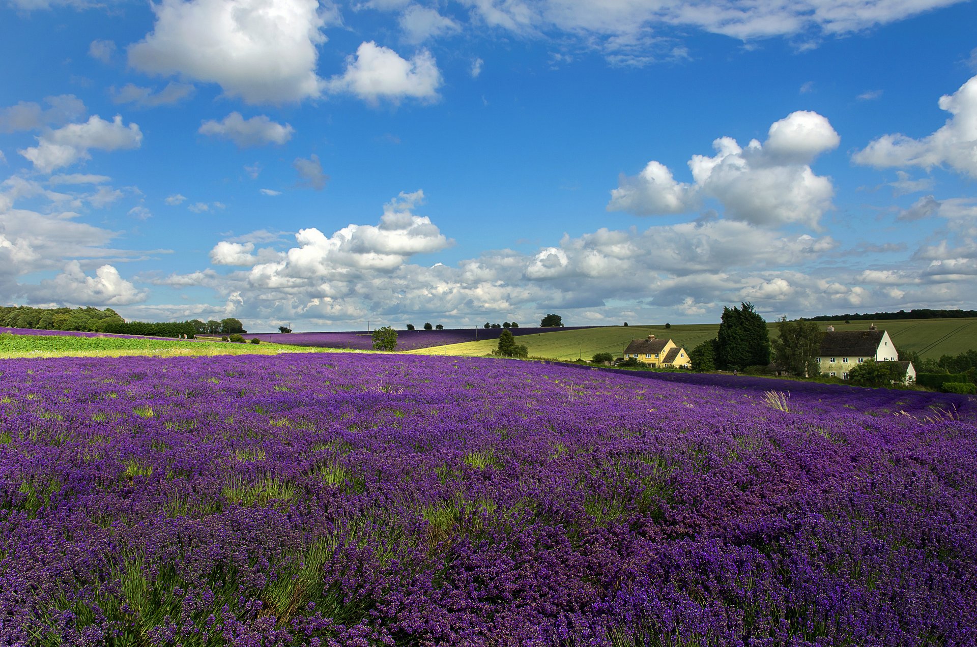 ky clouds hills the field meadow flower tree house