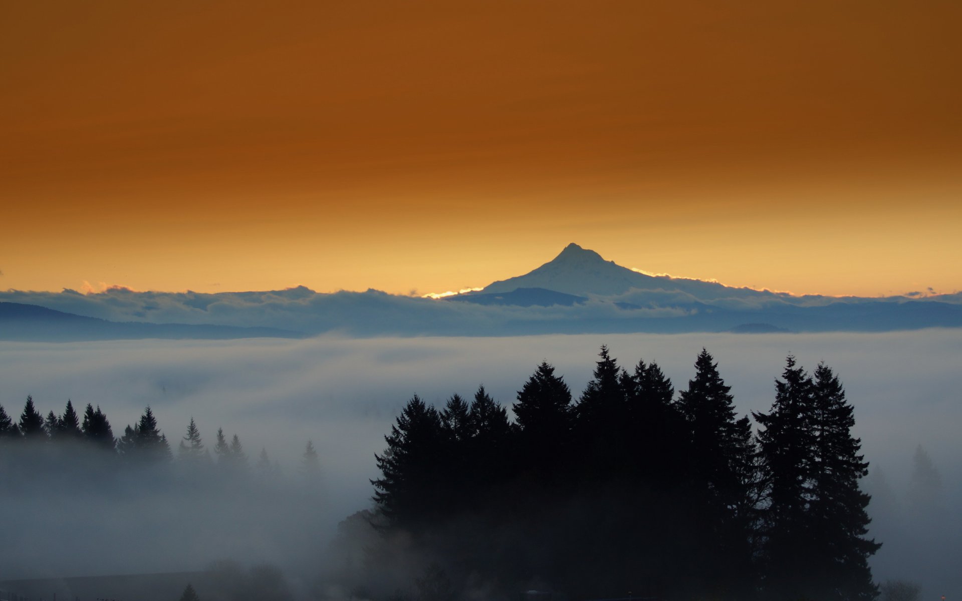 brouillard coucher de soleil paysage