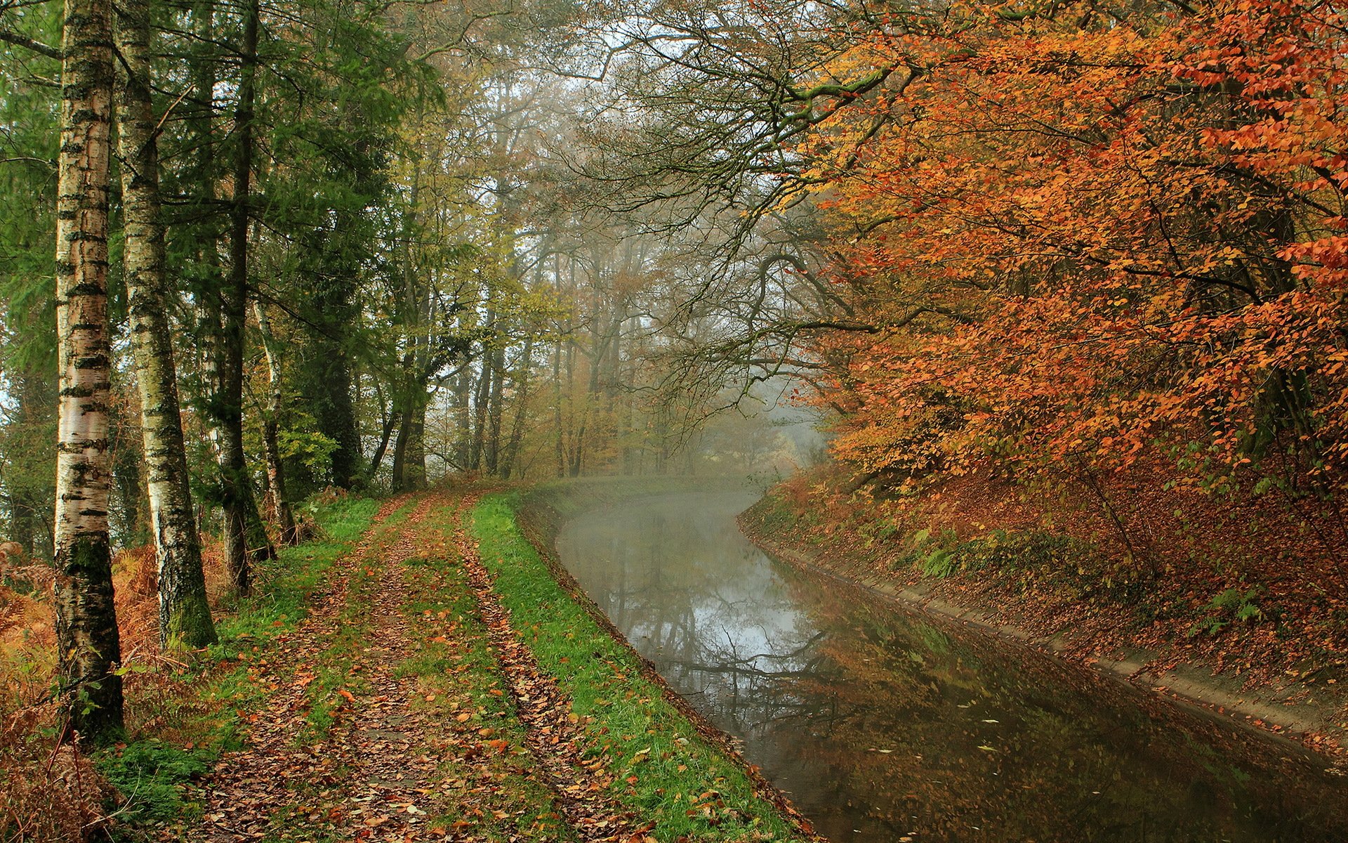 jesień rzeka park