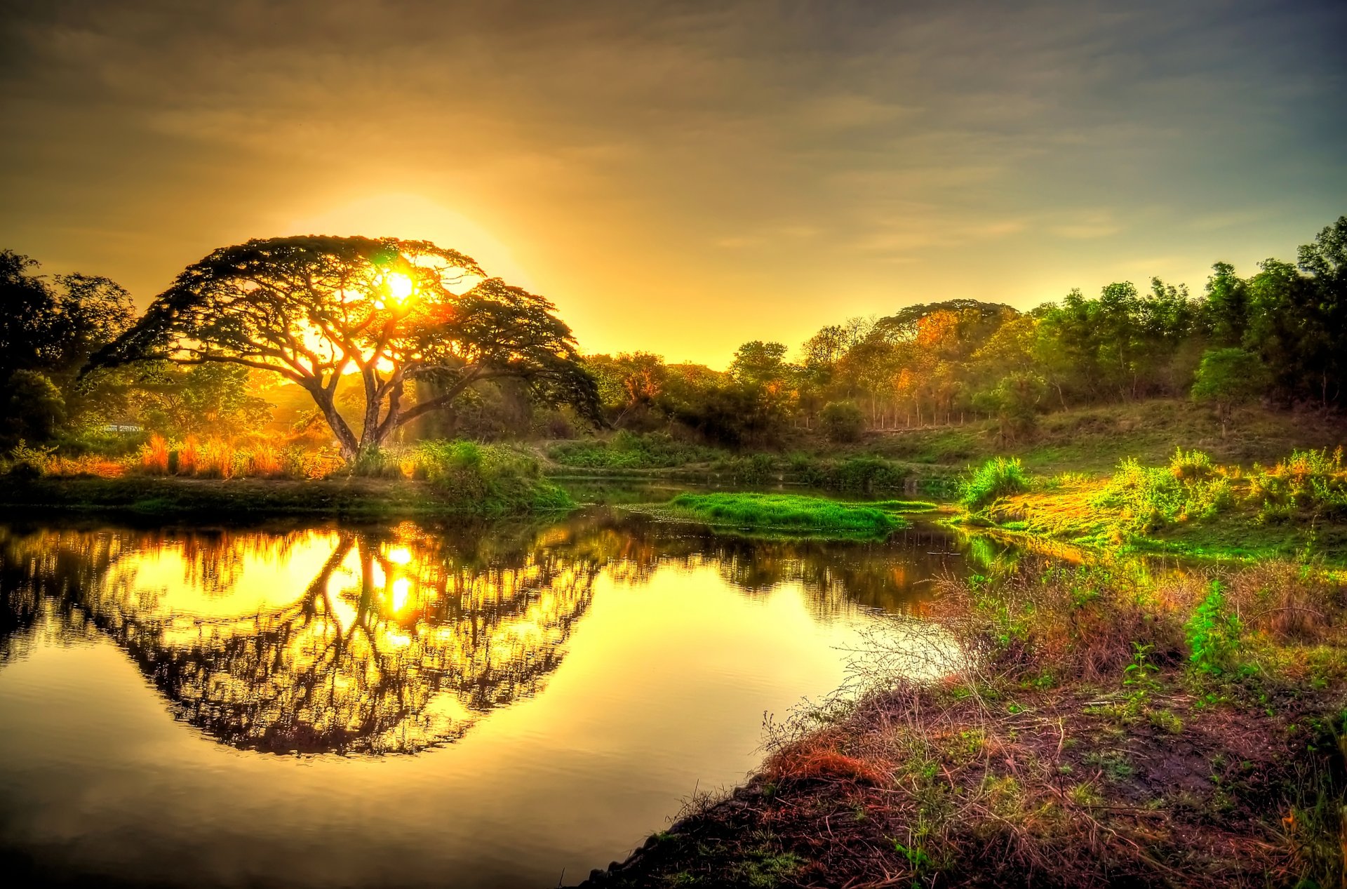 himmel sonnenuntergang sonne baum wald teich reflexion