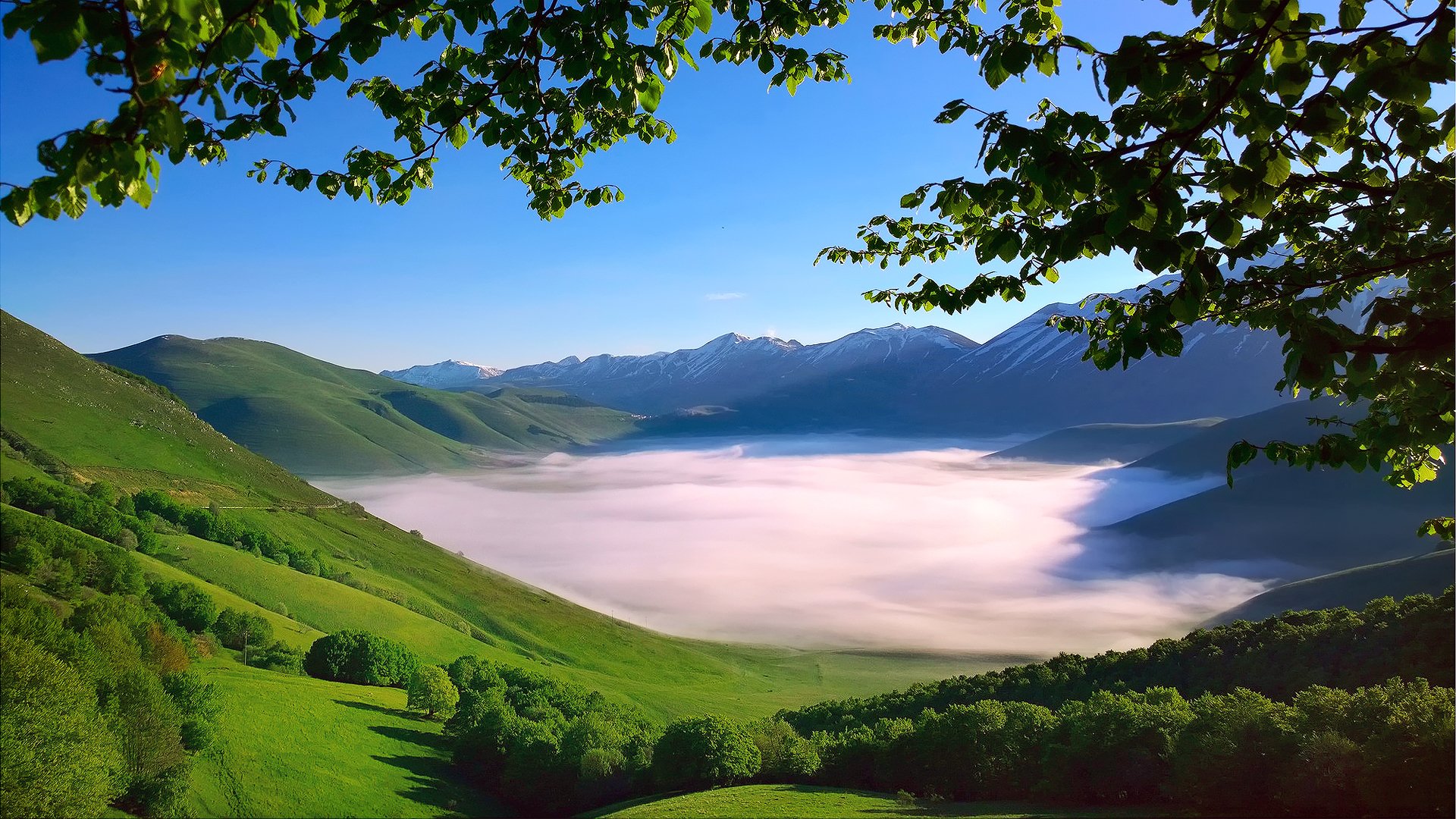 italia appennino catena montuosa monti sibillini valle mattina nebbia alberi rami fogliame primavera maggio