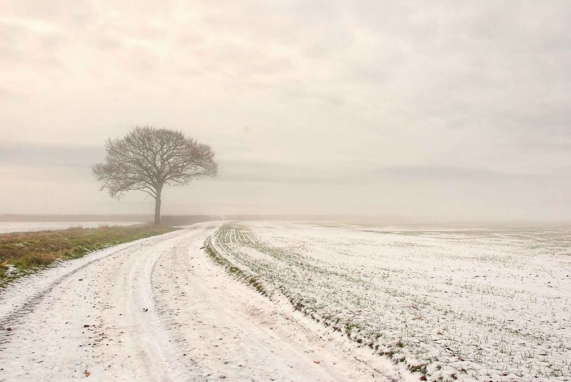 winter schnee feld straße baum