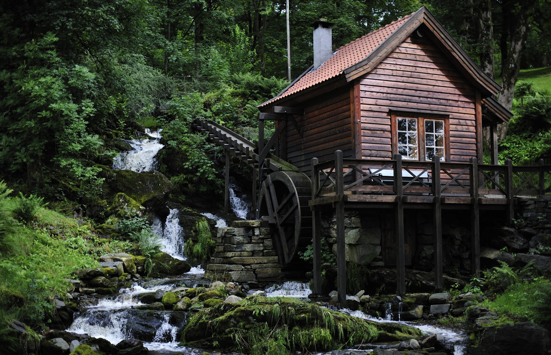 wald fluss haus mühle