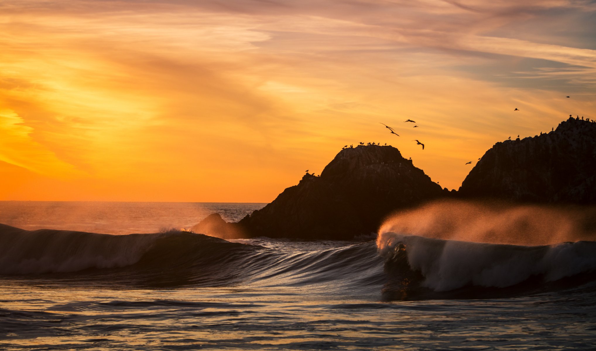 california san francisco puesta de sol océano playa olas aves