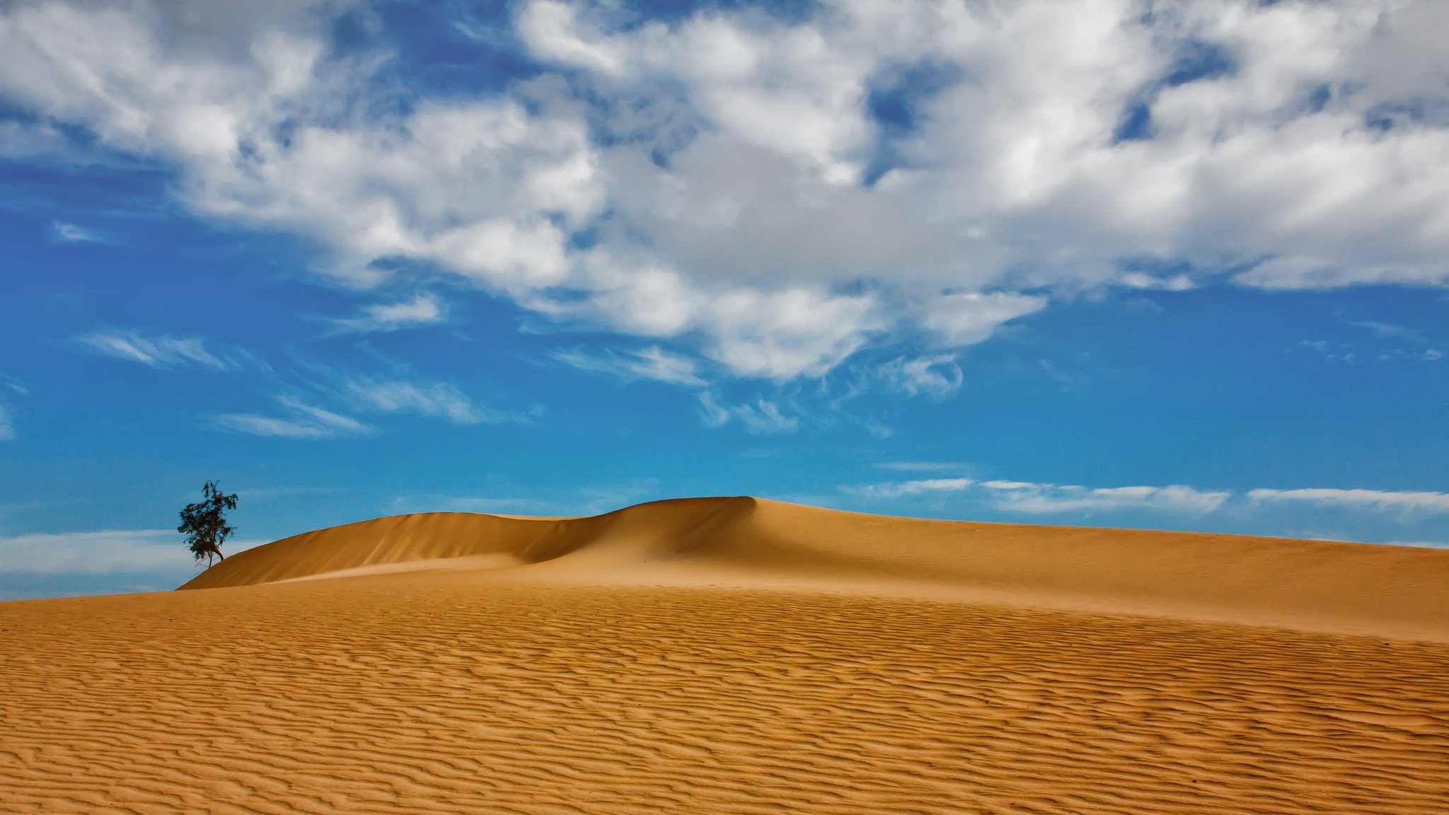 canary islands spain dune sand clouds tree