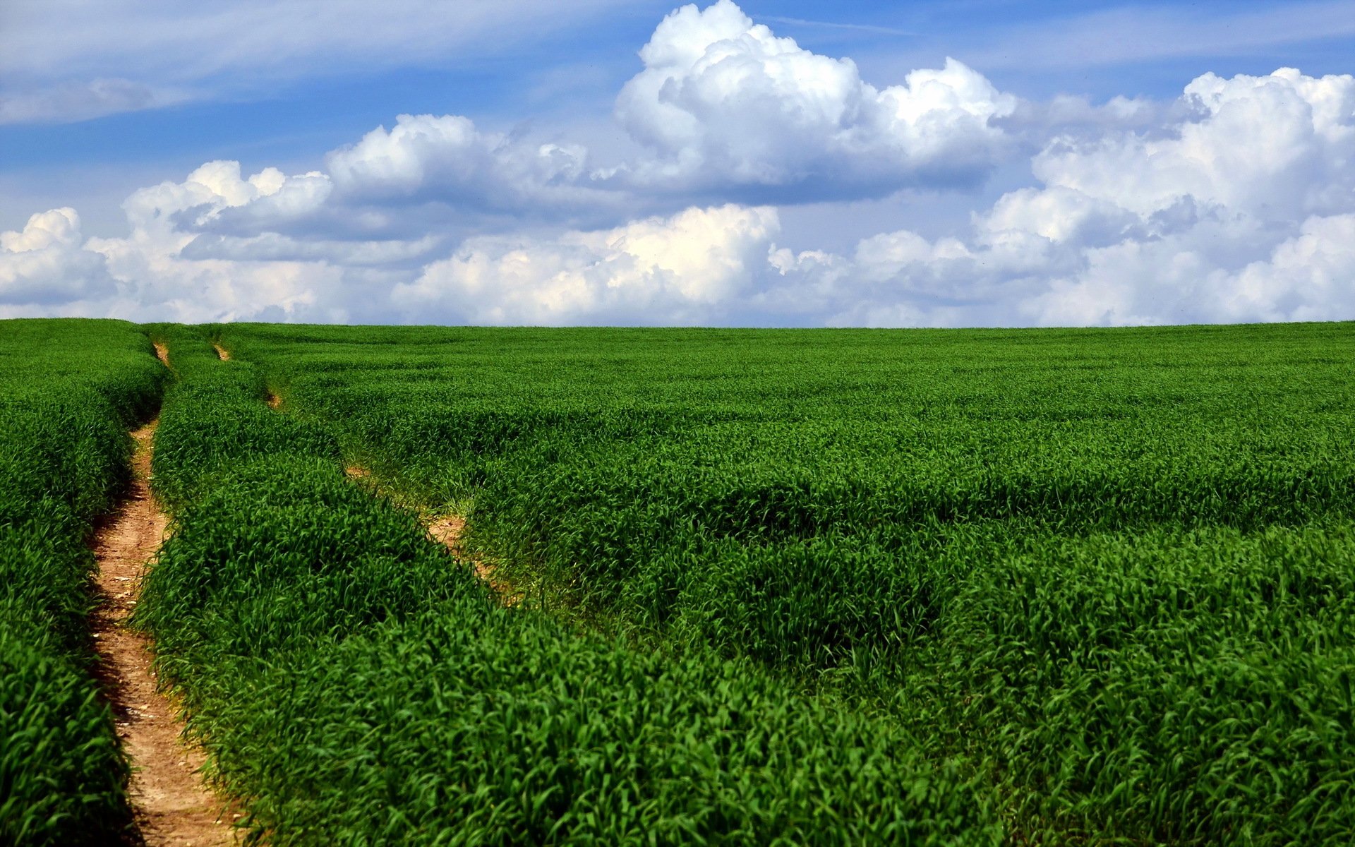 the field road landscape