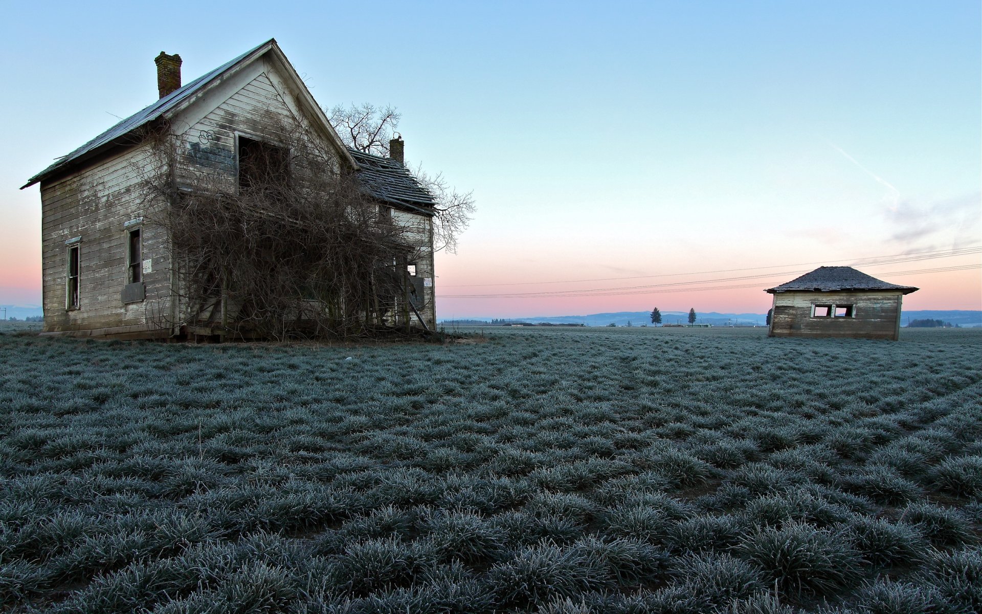 the field house landscape flower