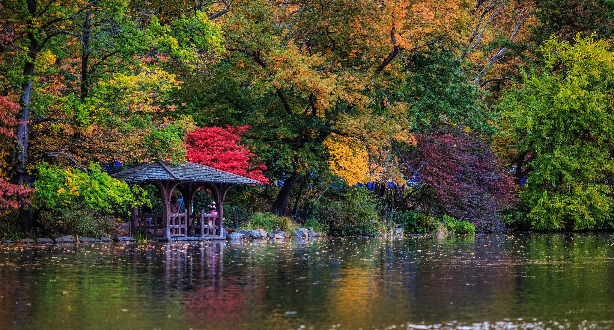 central park nueva york lago cenador otoño árboles