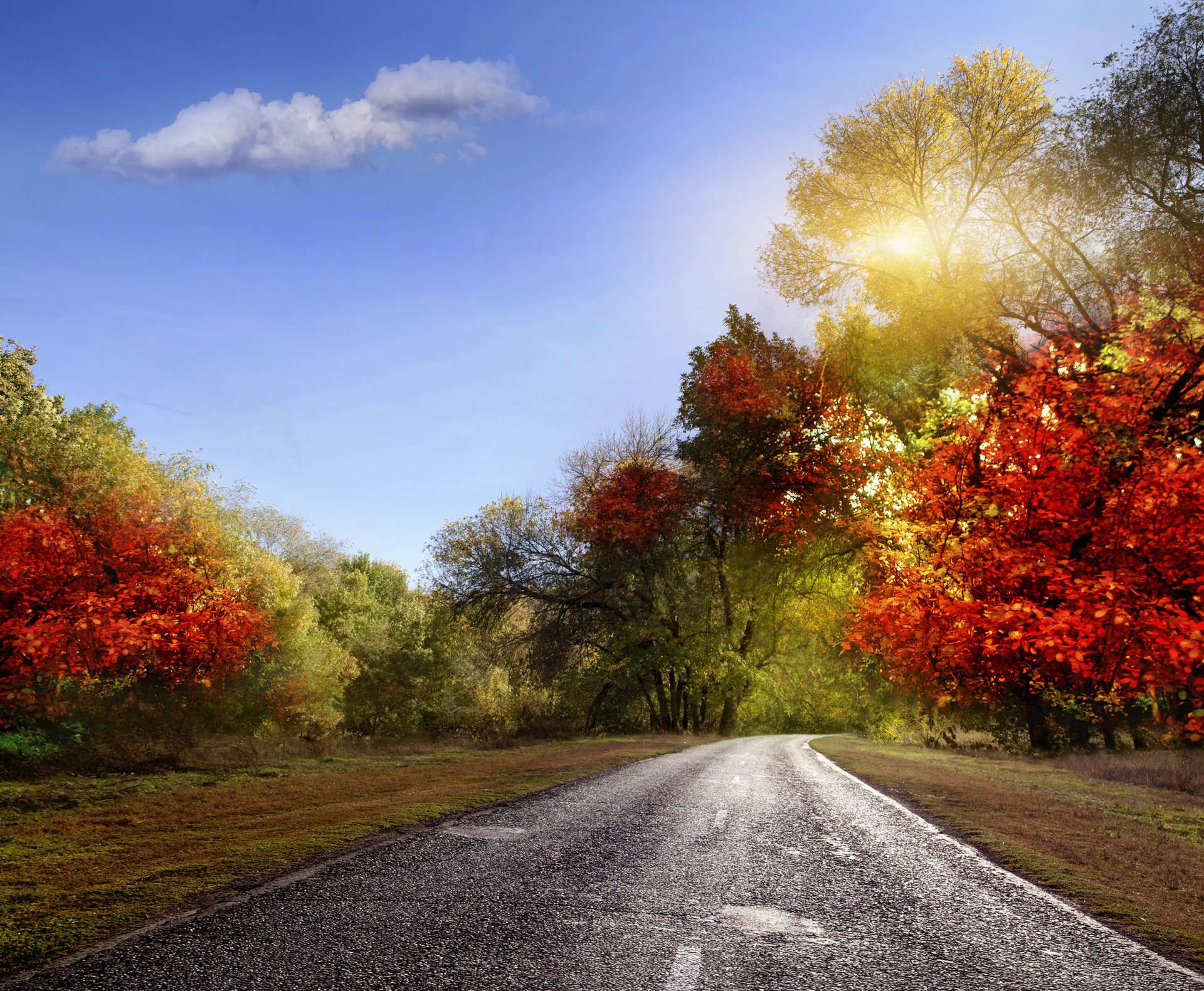 landschaft natur herbst blätter bunt straße strahlen himmel