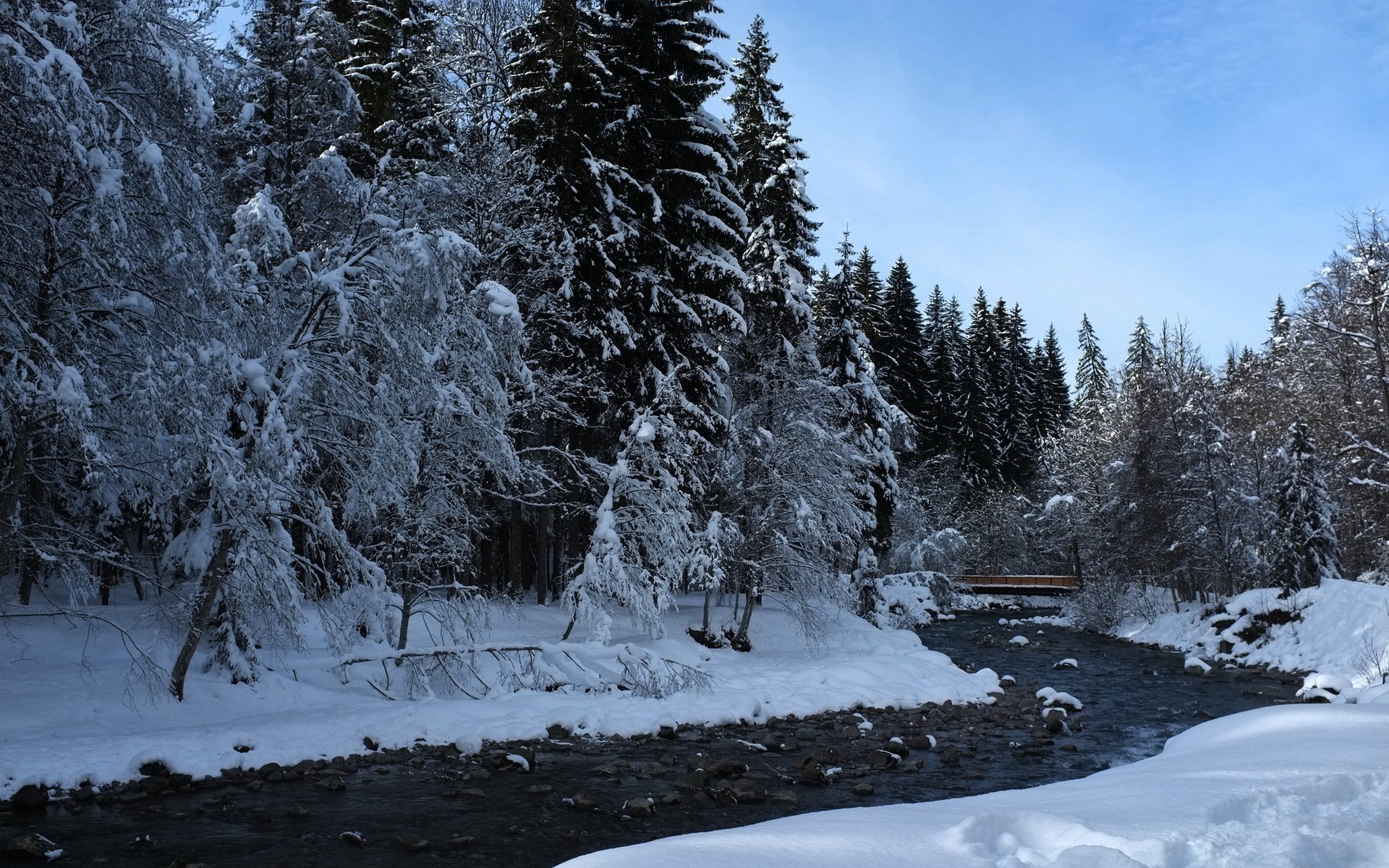 forest river winter nature