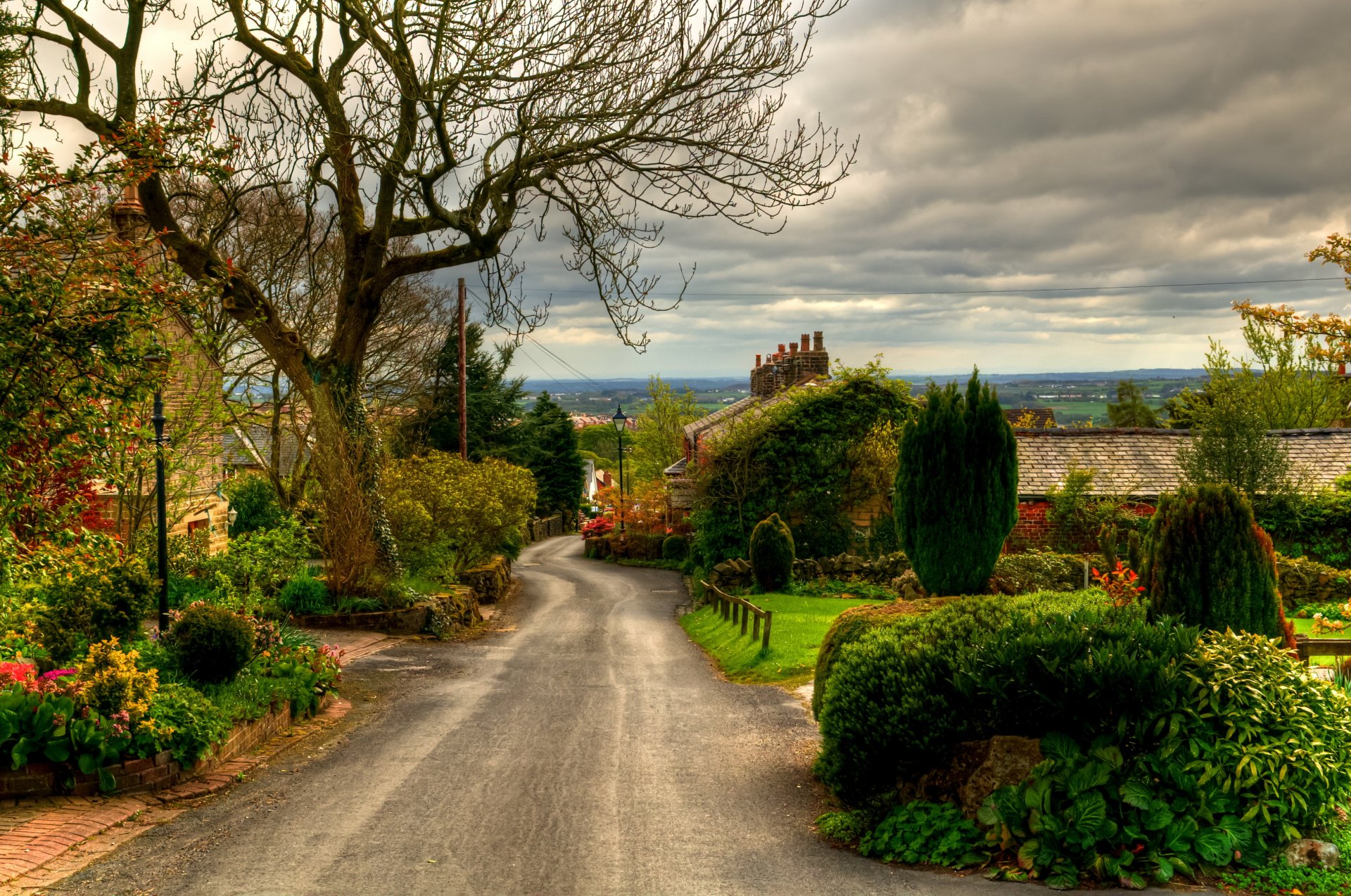 royaume-uni route angleterre horwich arbres buissons ville photo