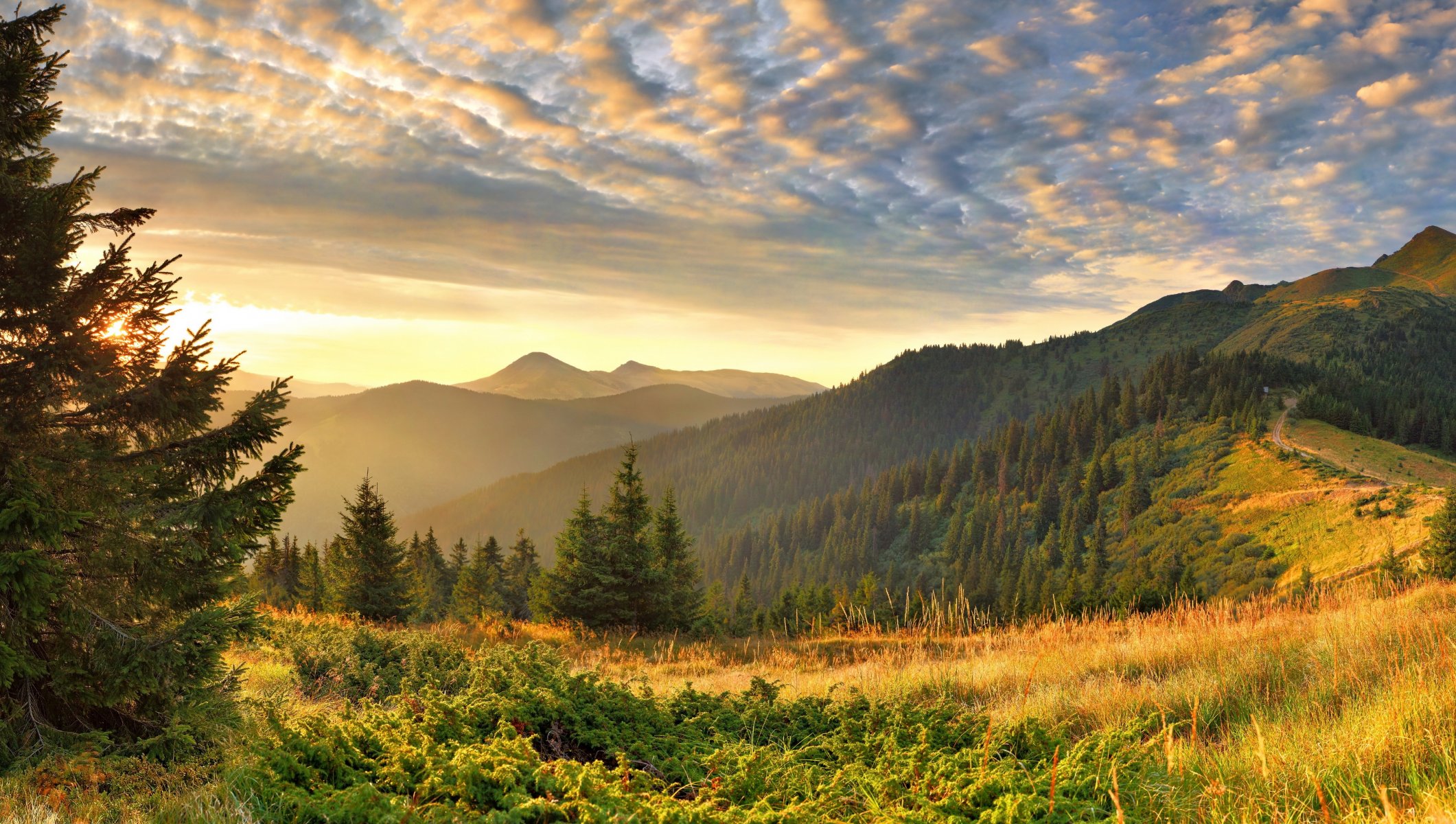 himmel berge gras wald wolken