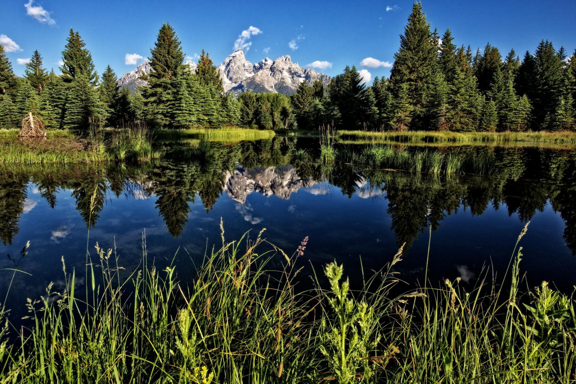 teton nationalpark wyoming see wald berge