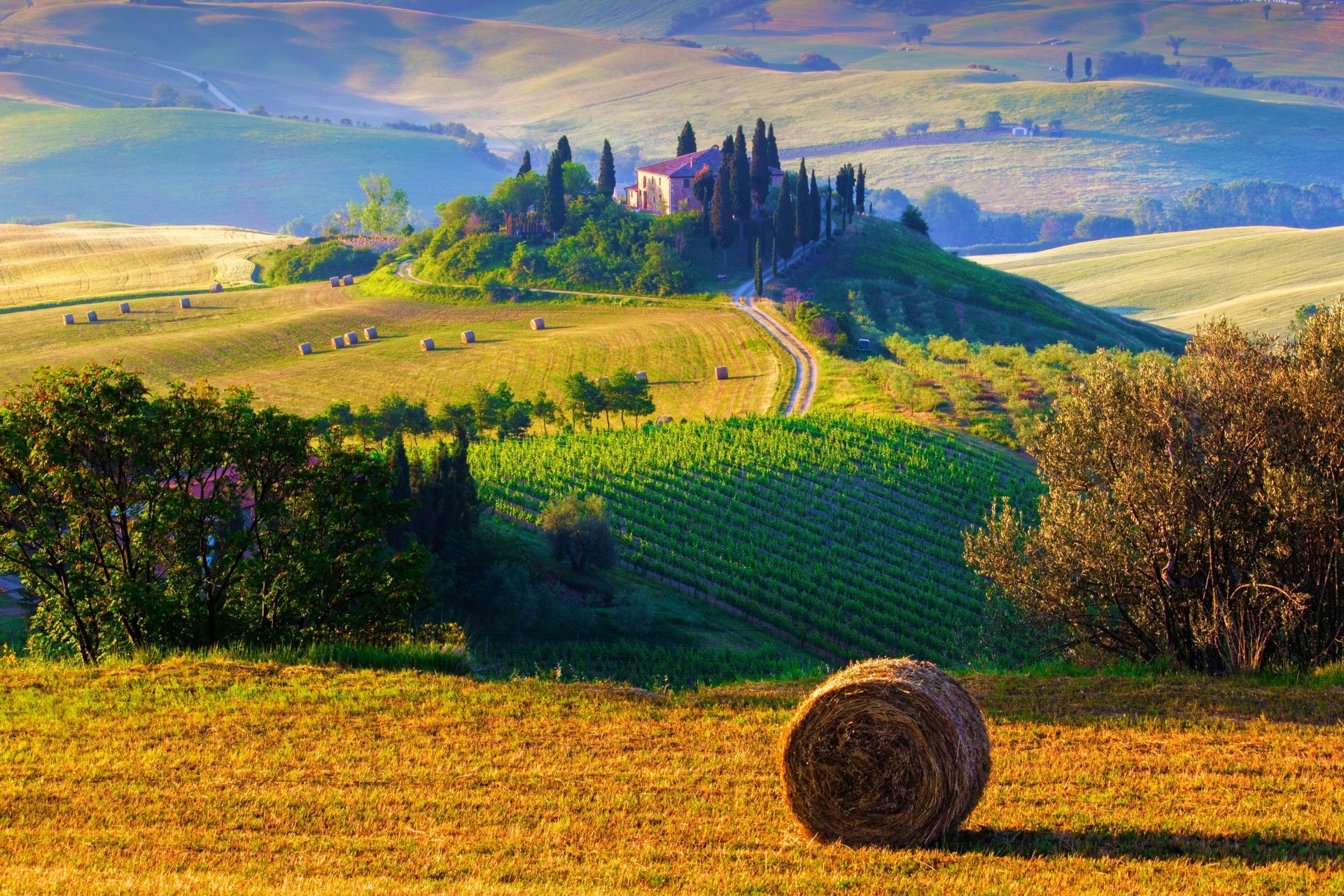 italien landschaft natur feld heuhaufen bäume hügel bauernhöfe sonne morgen toskana felder heuhaufen heu bauernhöfe sonnenaufgang morgen