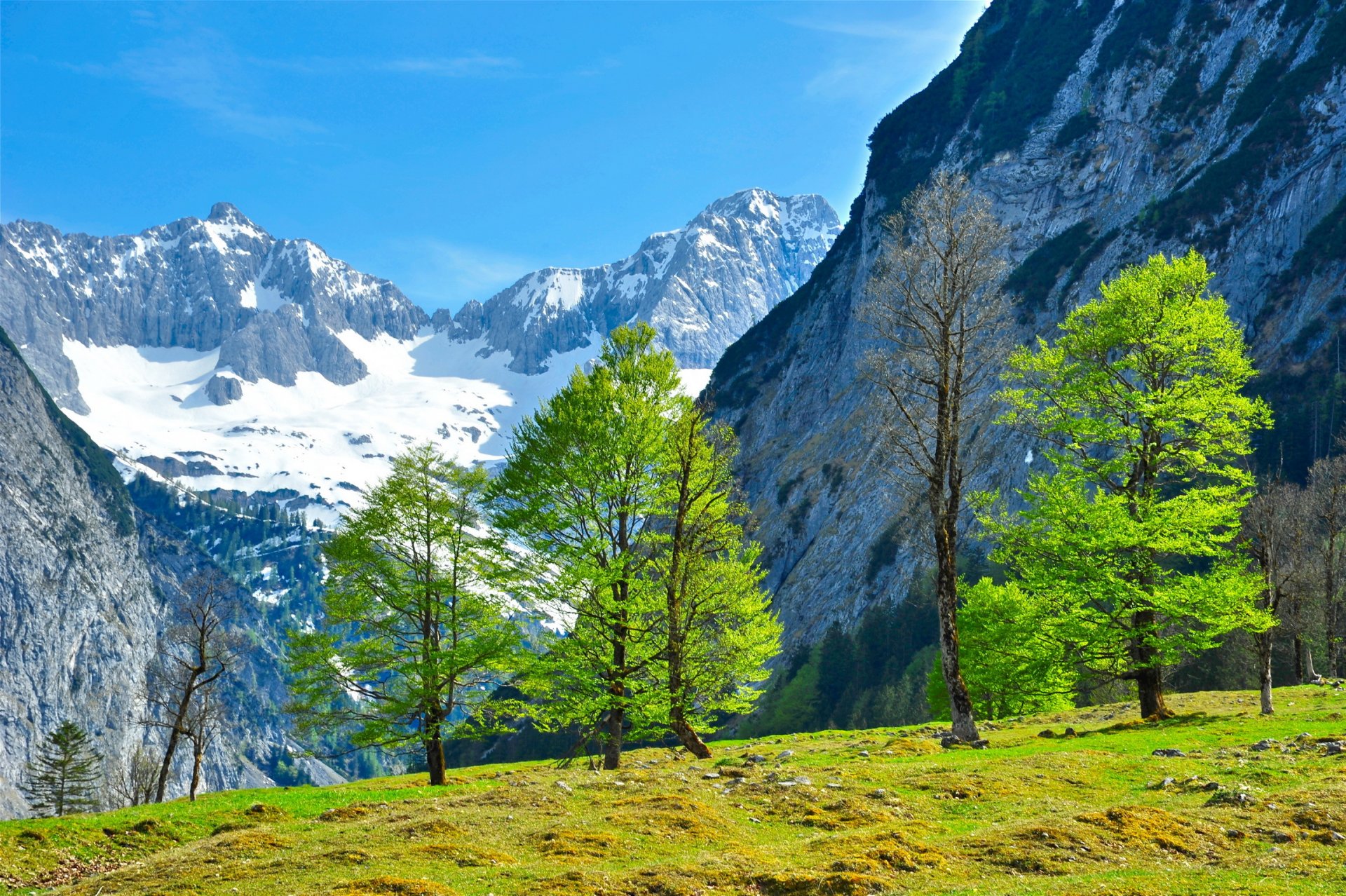 montañas austria paisaje tirol árboles vegetación hierba naturaleza