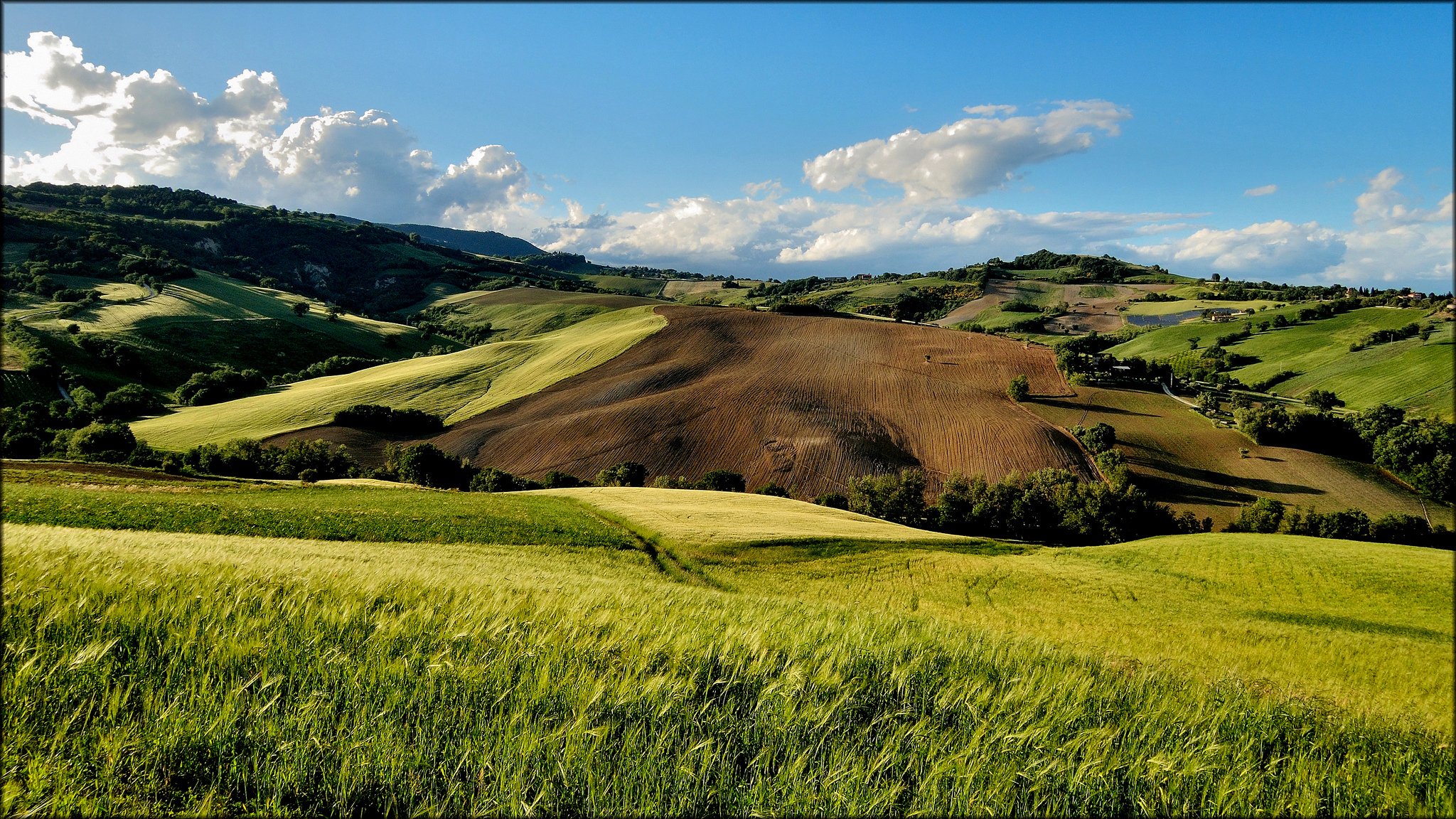 hügel bäume felder sommer san severino italia