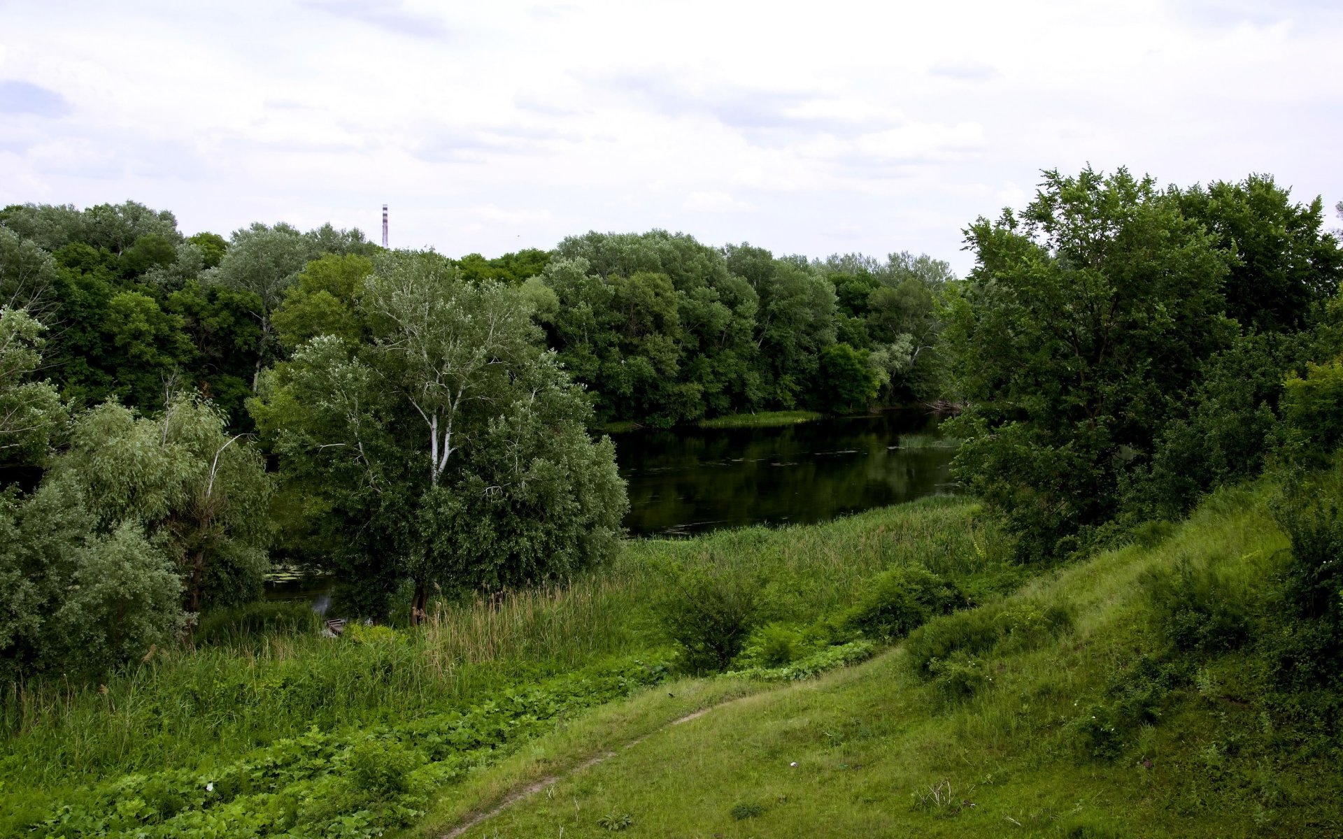 ucraina slobozhanschyna seversky donets fiume sentiero alberi erba