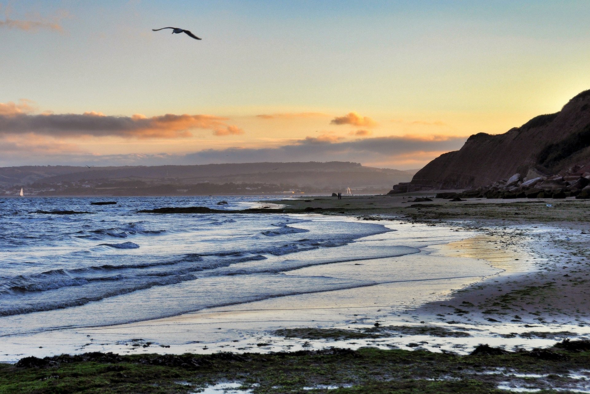 strand meer bucht abend vogel