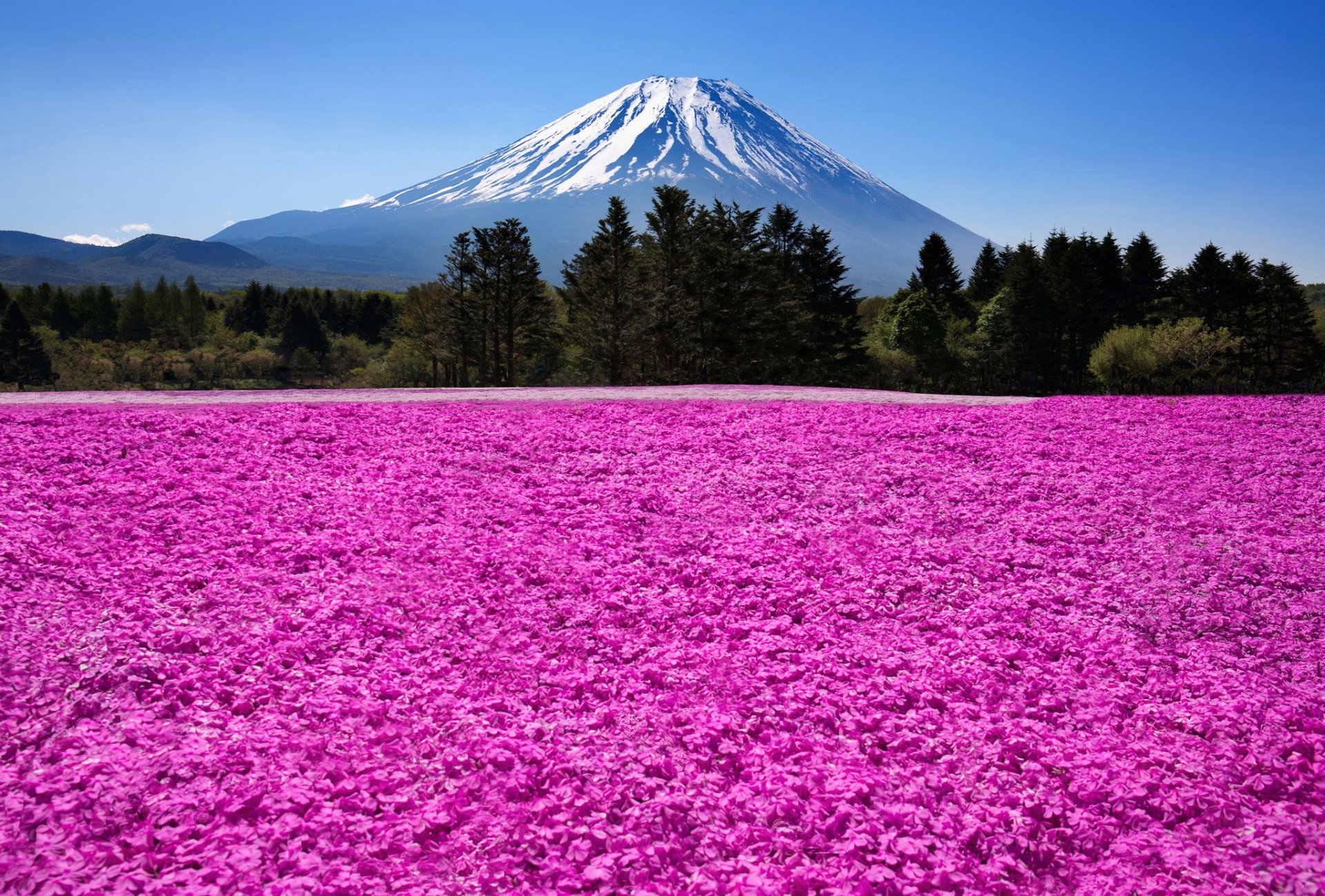 japonia fuji wulkan góra natura