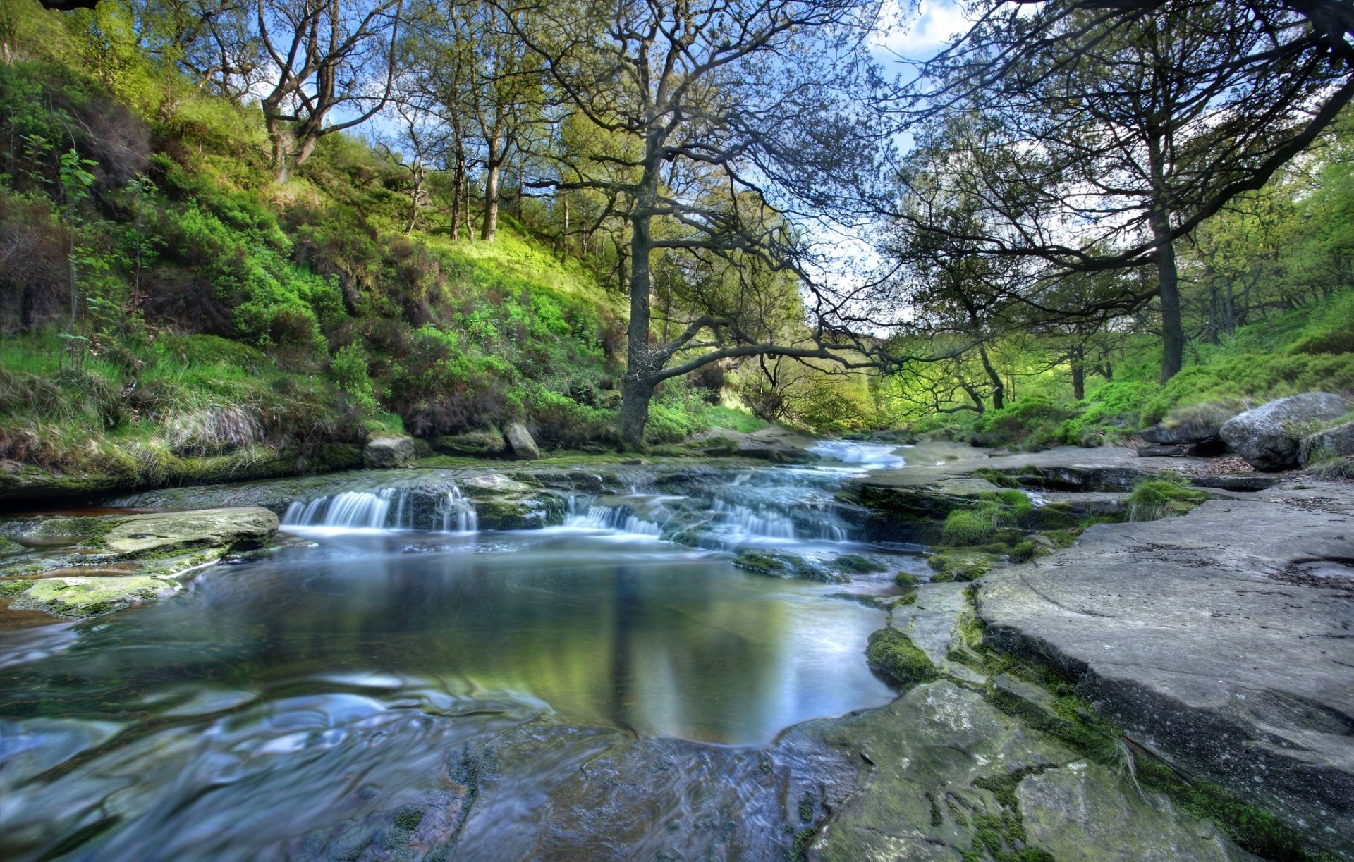 park narodowy peak district anglia park narodowy peak district rzeka drzewa stoki