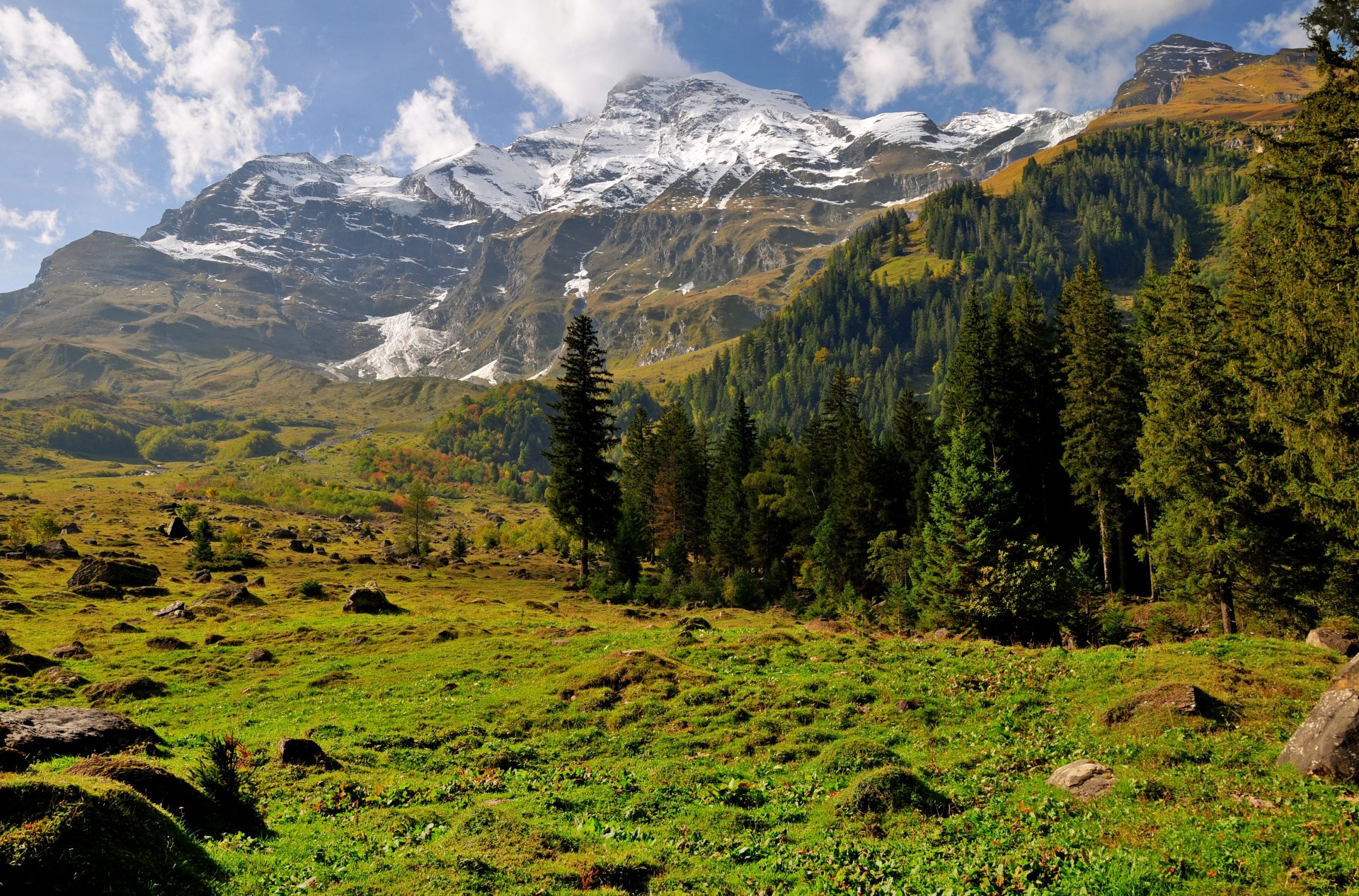 mountain snow forest tree grass stones sky cloud