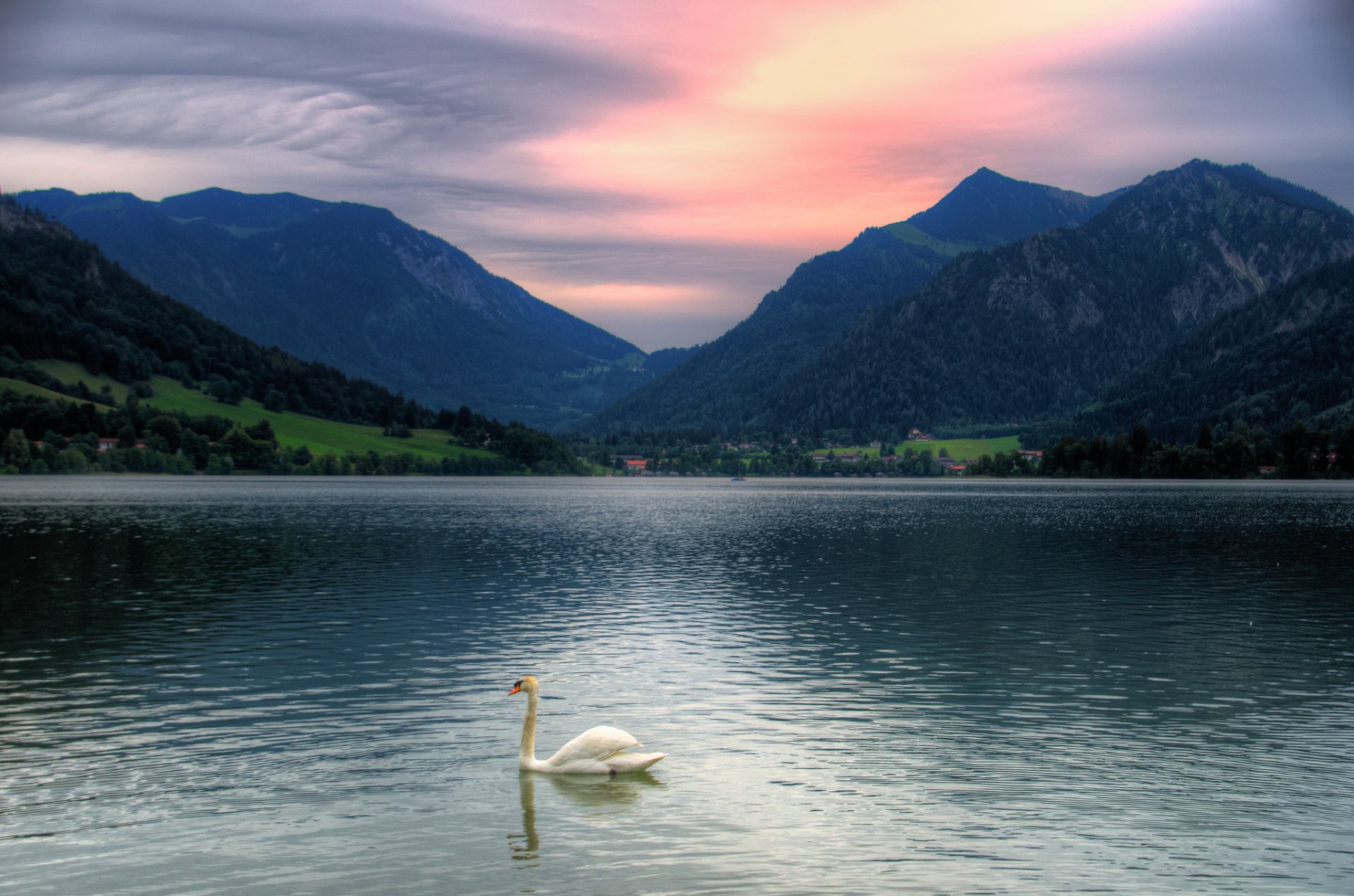 bayern tegernsee see schwan berge sonnenuntergang