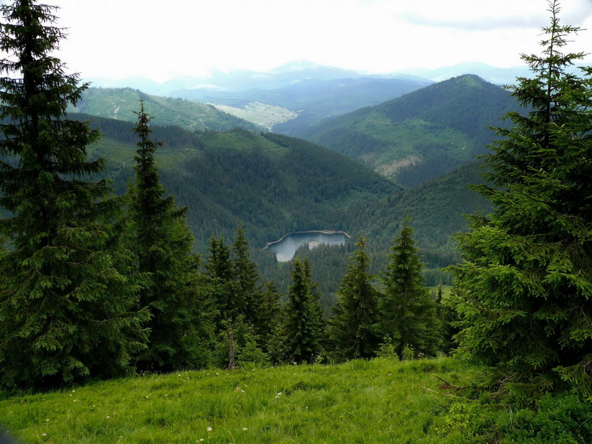 ukraine transcarpatie sinevir lac carpates montagnes sapins nature